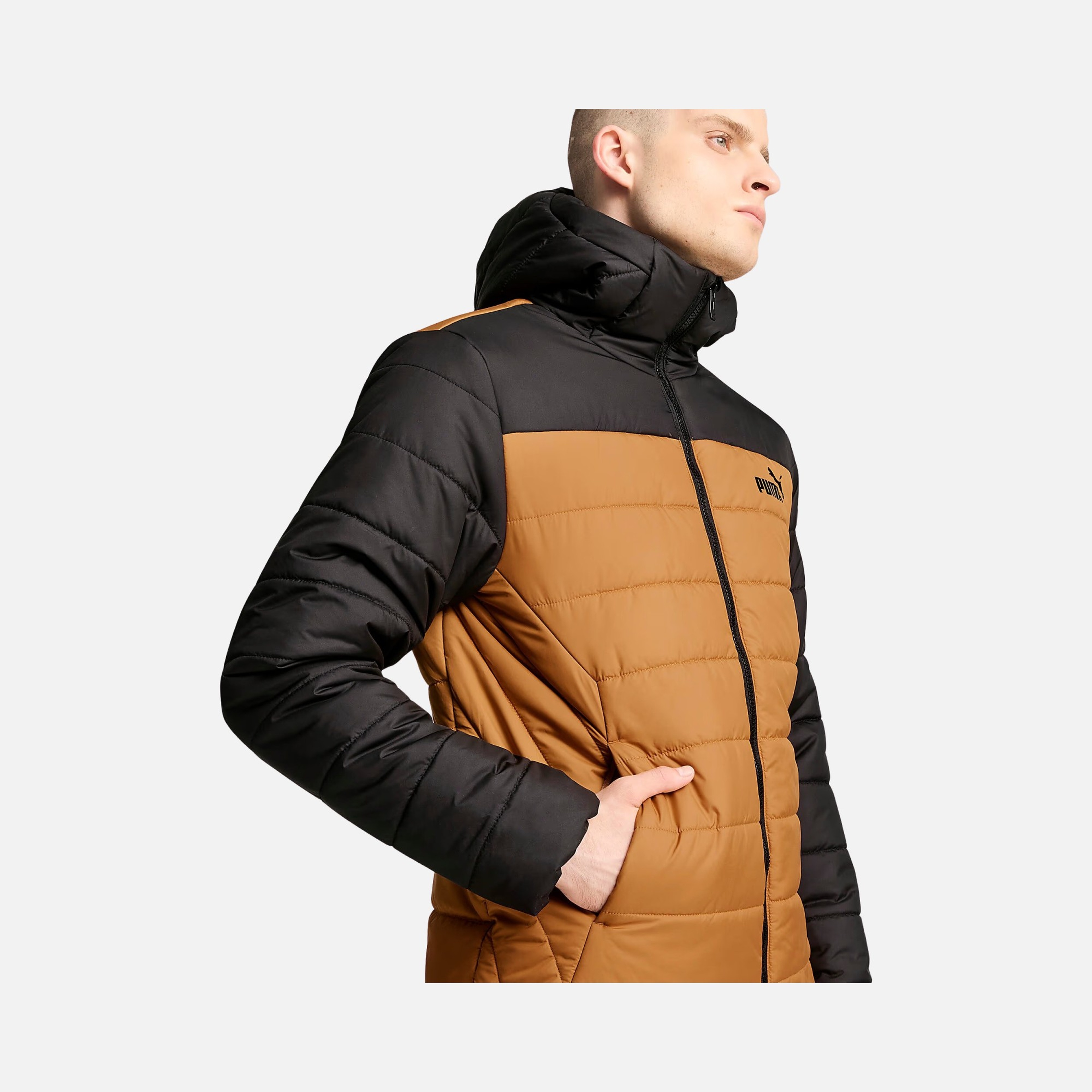 Puma Sportswear Essentials Full-Zip Hoodie Erkek Mont