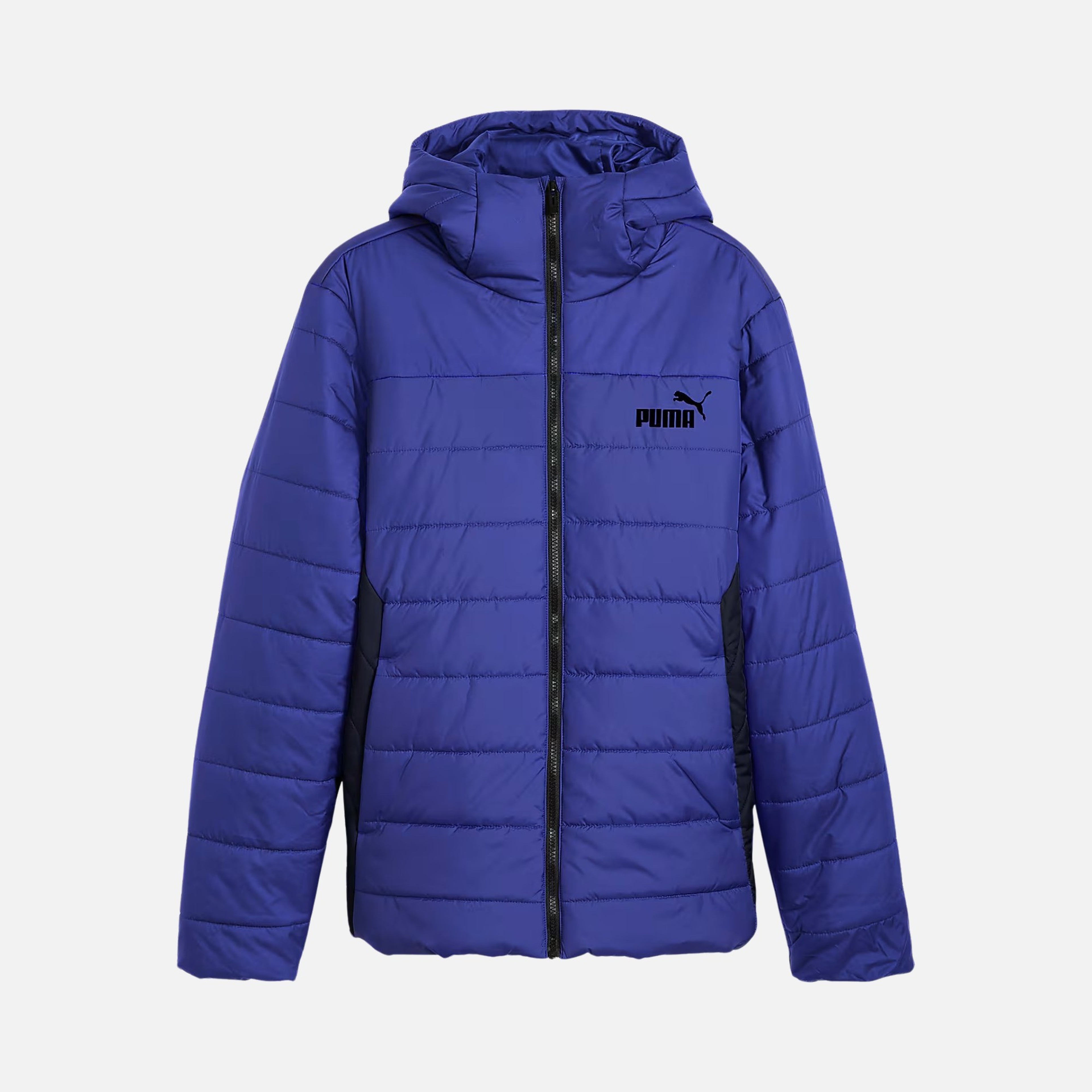 Puma Sportswear Essentials Full-Zip Hoodie Erkek Mont