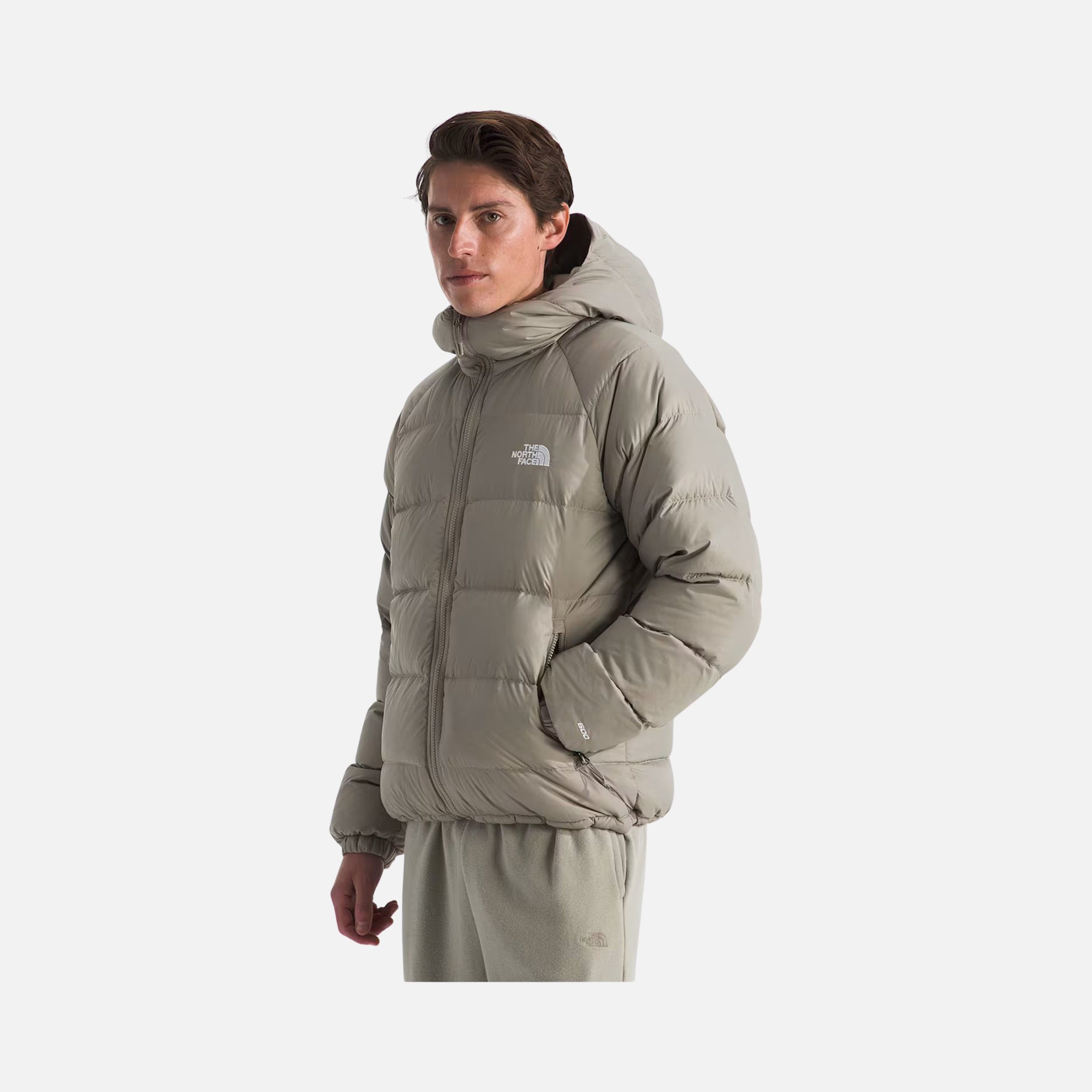 North Face Hydrenalite Down Full-Zip Hoodie Erkek Mont