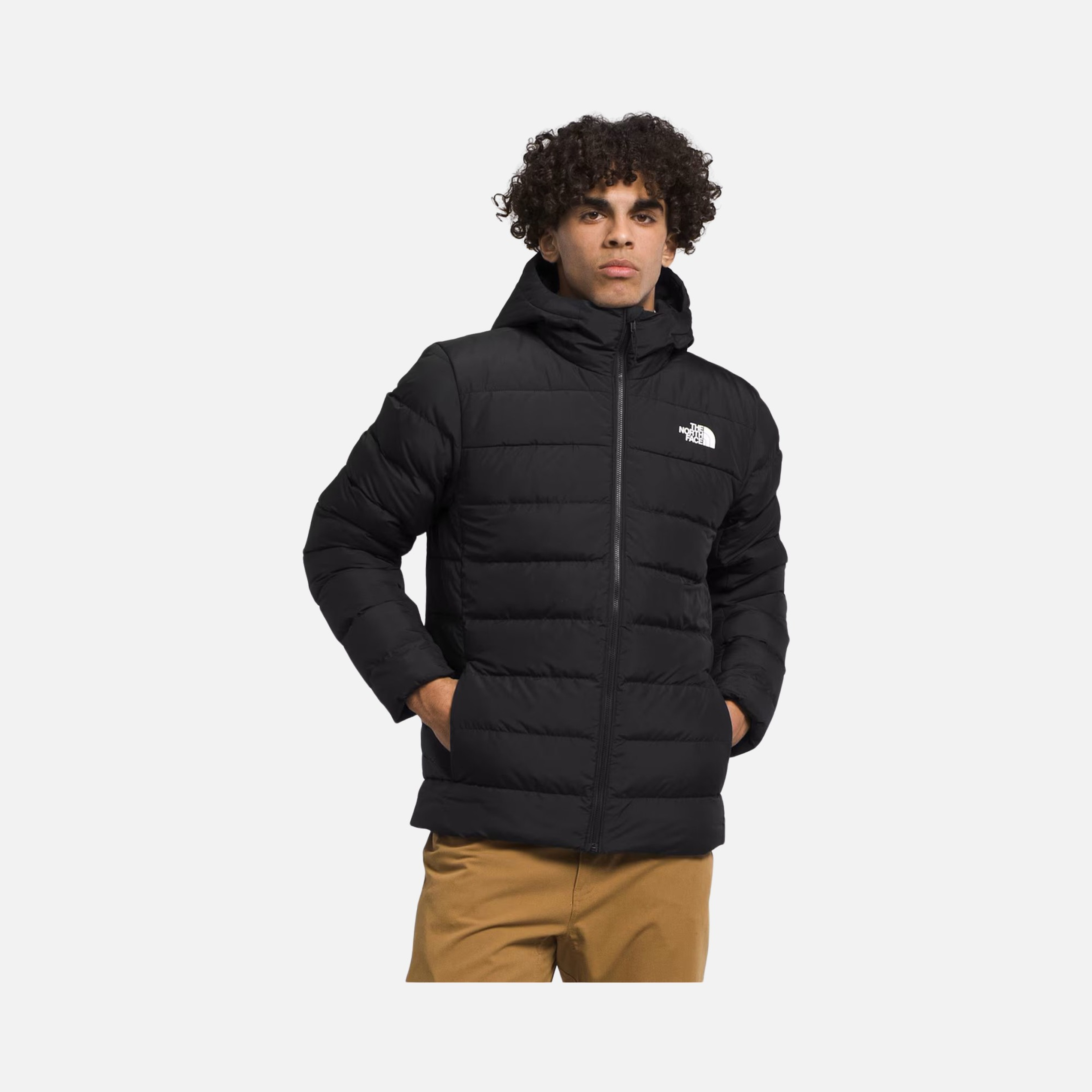 North Face Aconcagua III Goose Down 600 Full-Zip Hoodie Erkek Mont