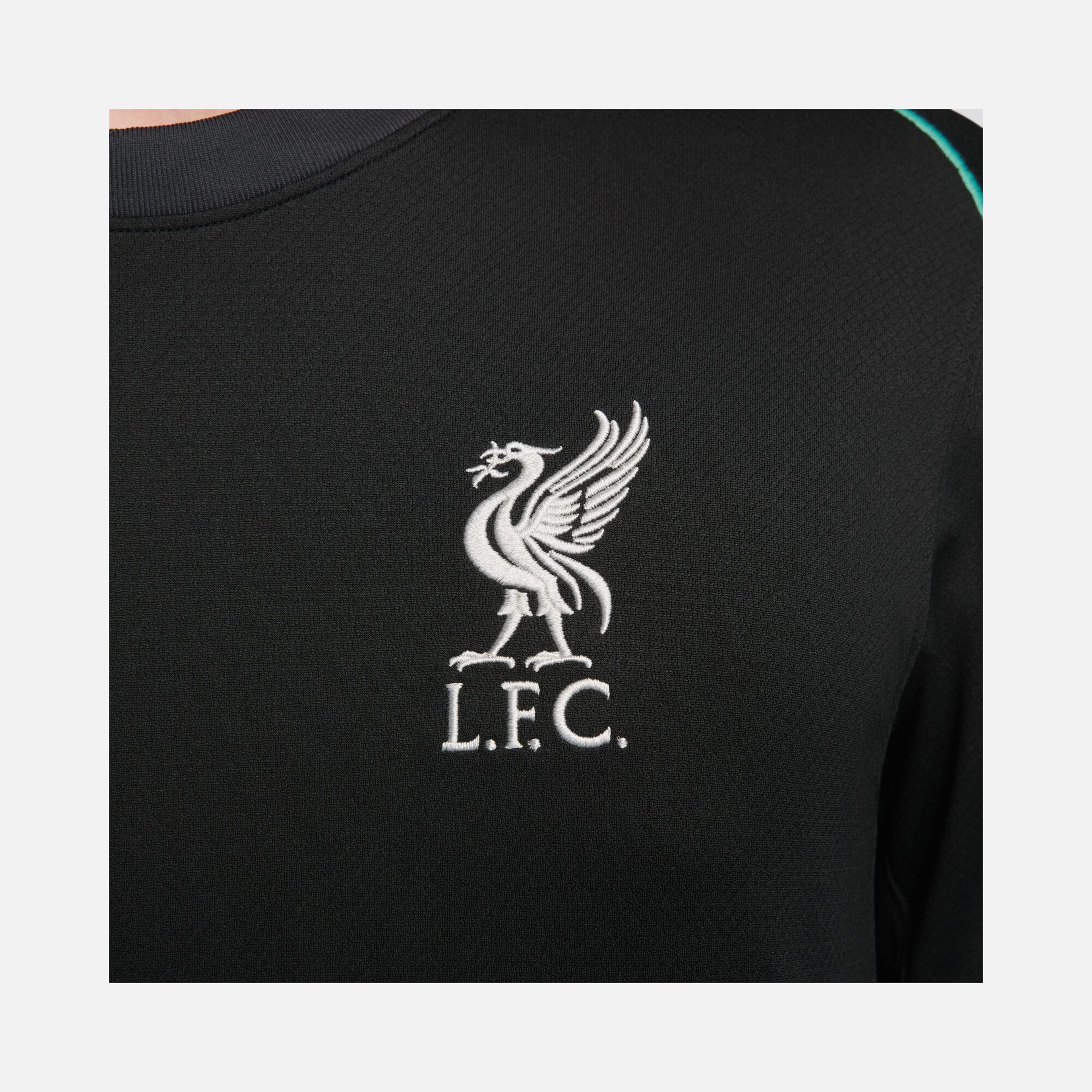Nike Liverpool FC 2024-2025 Stadium Deplasman Erkek Forma