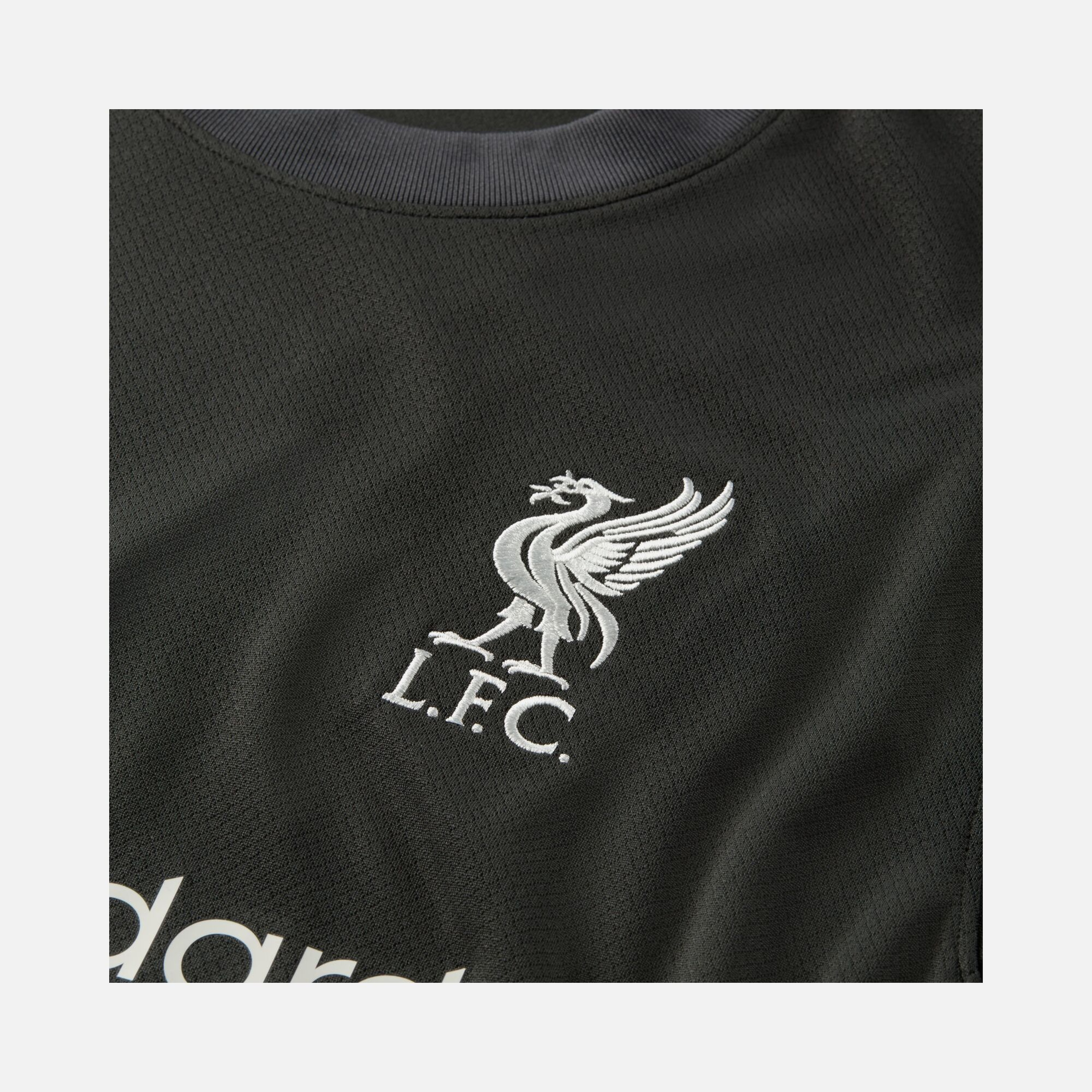 Nike Liverpool FC 2024-2025 Stadium Deplasman Erkek Forma