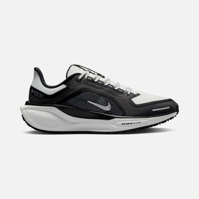 Nike Air Zoom Pegasus 41 Gore-Tex Waterproof Road Running Kadın Spor Ayakkabı