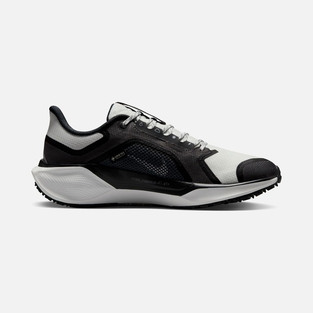 Nike Siyah Nike Air Zoom Pegasus 41 Gore-Tex Kadın