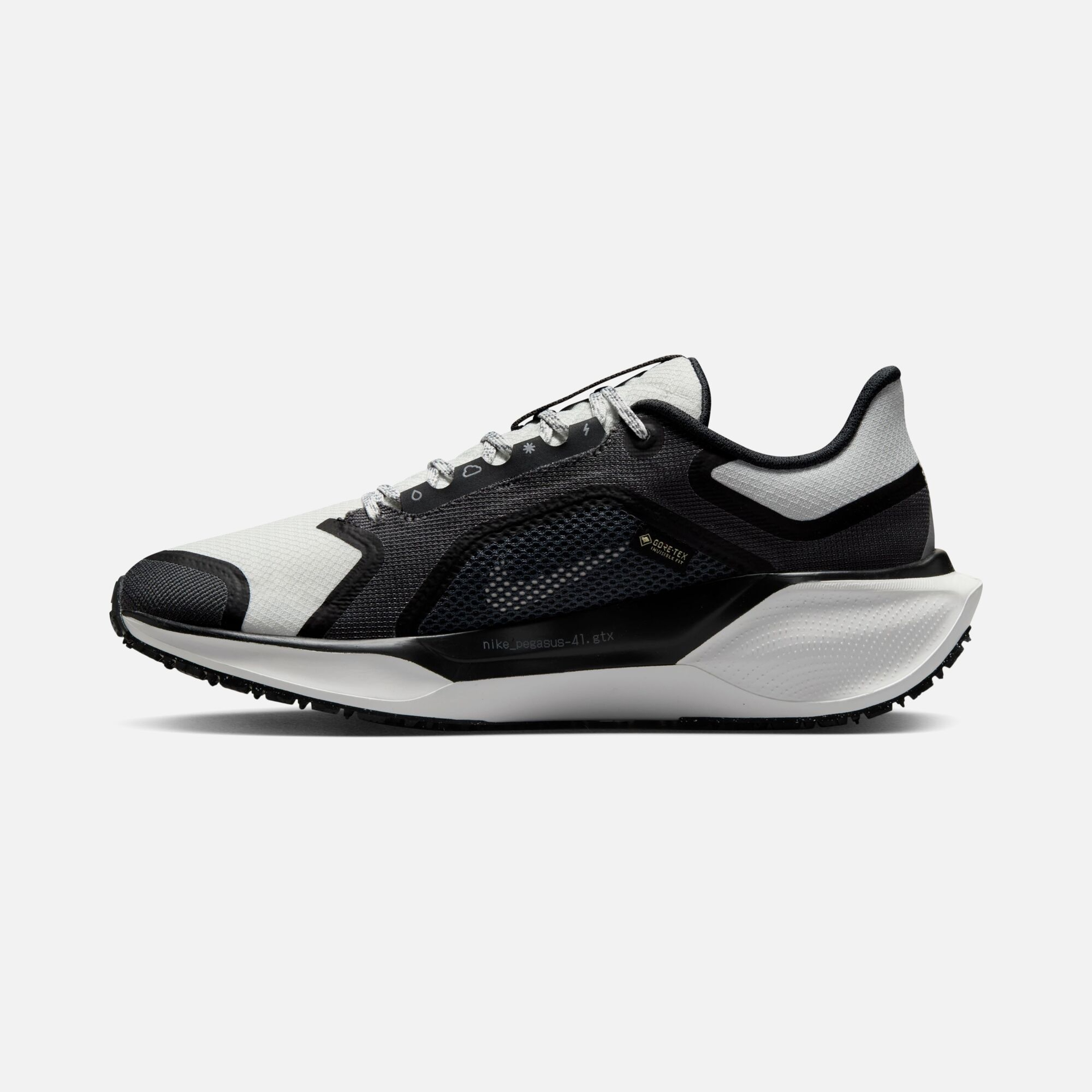Nike Air Zoom Pegasus 41 Gore-Tex Waterproof Road Running Kadın Spor Ayakkabı