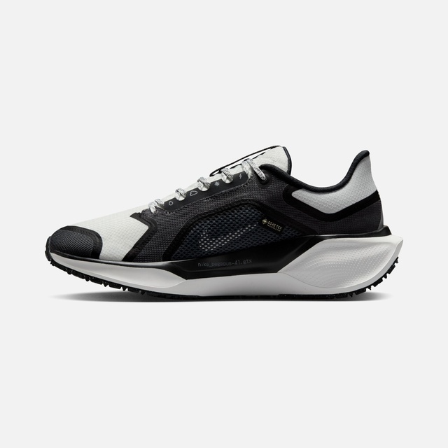 Nike Siyah Nike Air Zoom Pegasus 41 Gore-Tex Kadın
