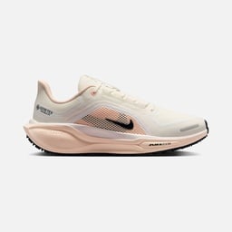 Nike Air Zoom Pegasus 41 Gore-Tex Waterproof Road Running Kadın Spor Ayakkabı