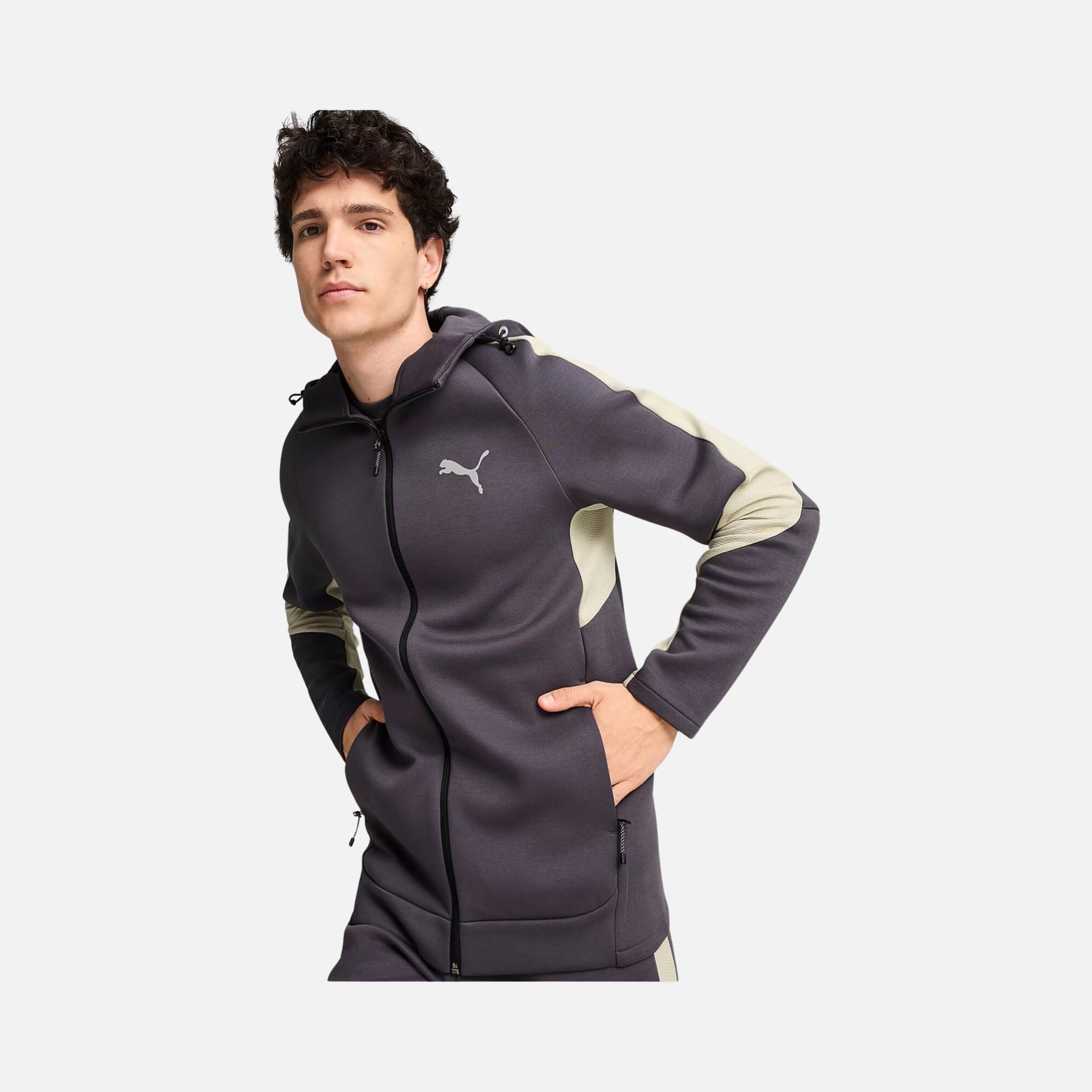 Puma Sportswear Evostripe Full-Zip Hoodie FW24 Erkek Sweatshirt