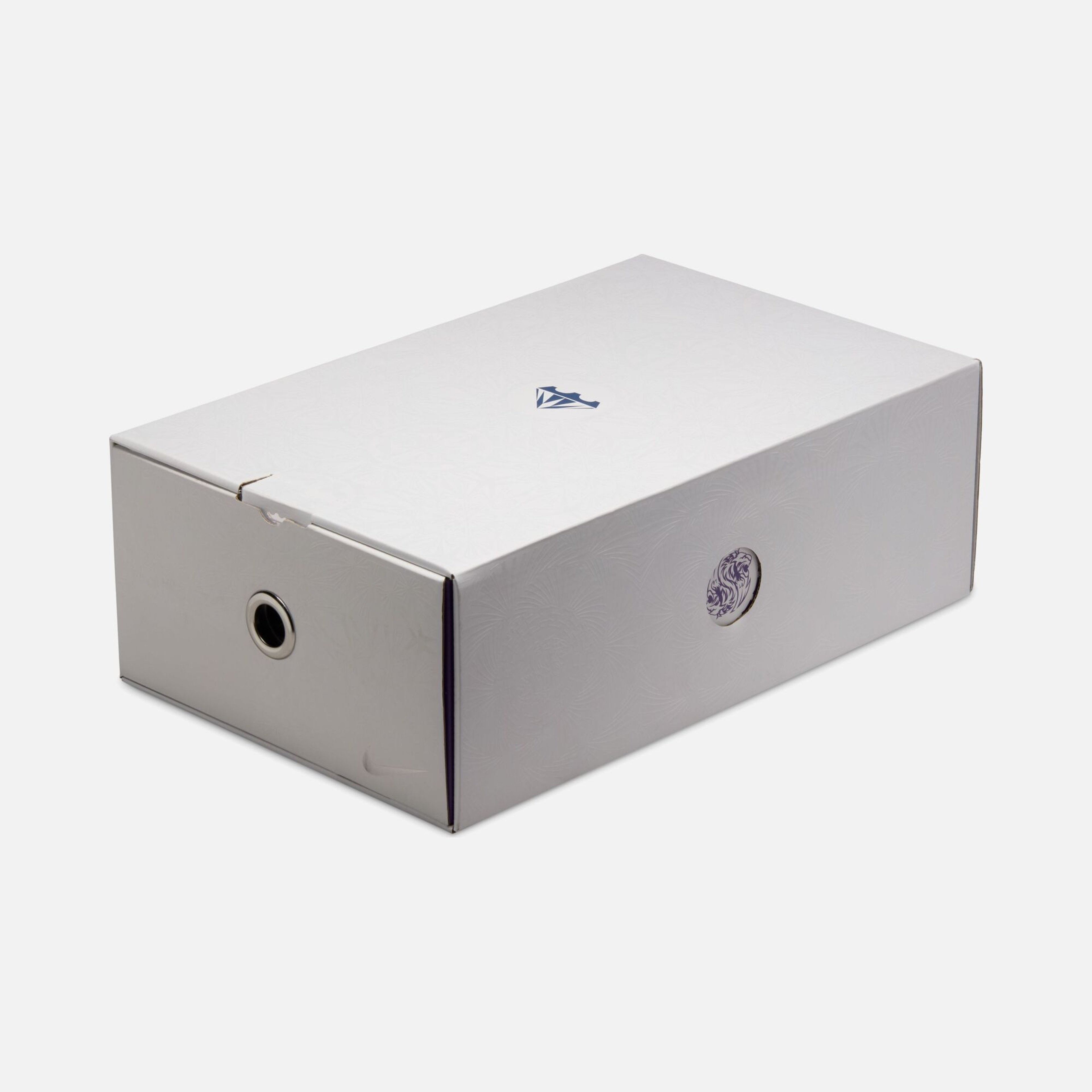 Nike LeBron James XXII Erkek Basketbol Ayakkabısı