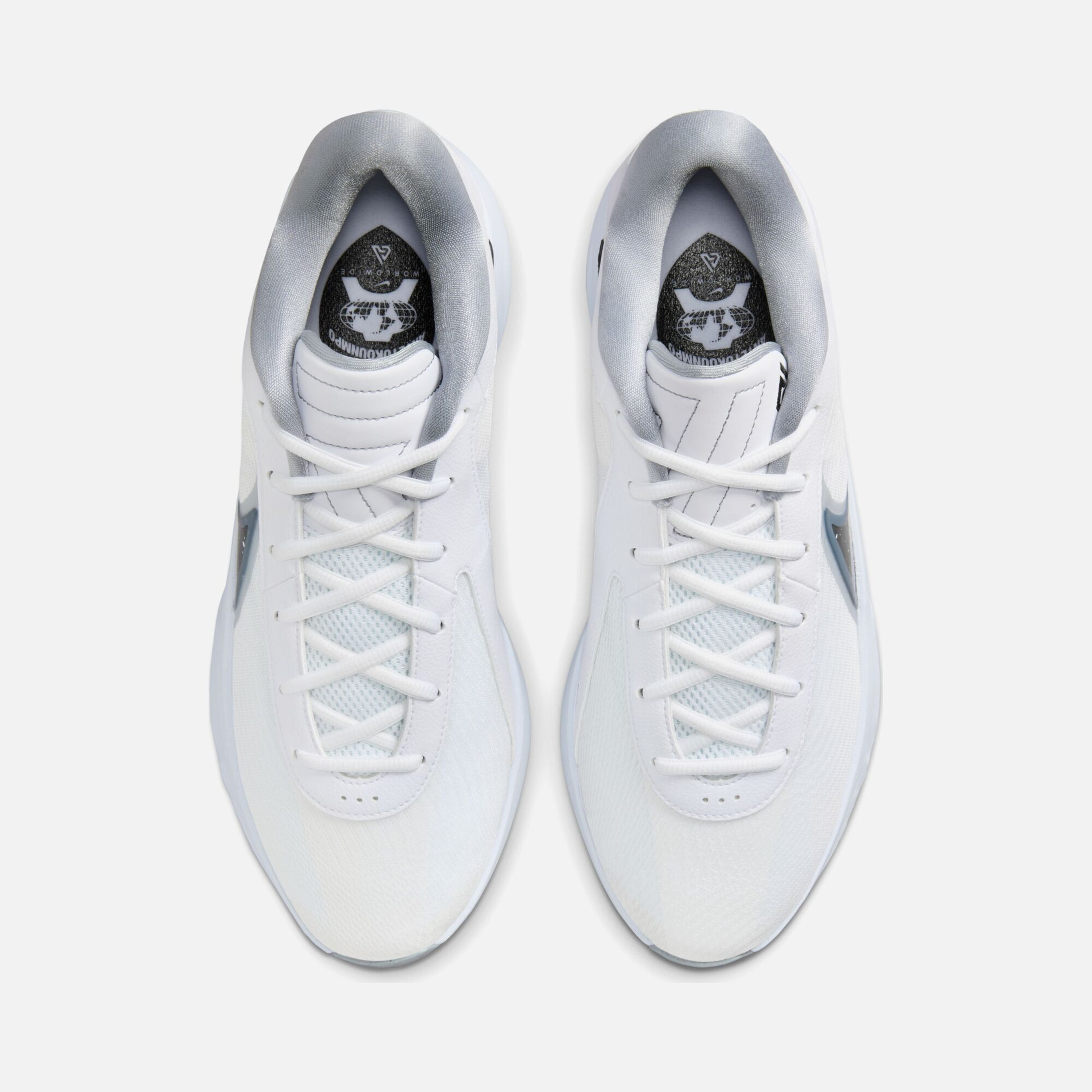 Nike Giannis Antetokounmpo Signature Game Freak 6 Erkek Basketbol Ayakkabısı