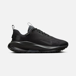 Nike InfinityRN 4 Gore-Tex Waterproof Road Running Kadın Spor Ayakkabı