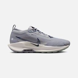 Nike Pegasus Trail 5 Gore-Tex Running Erkek Spor Ayakkabı