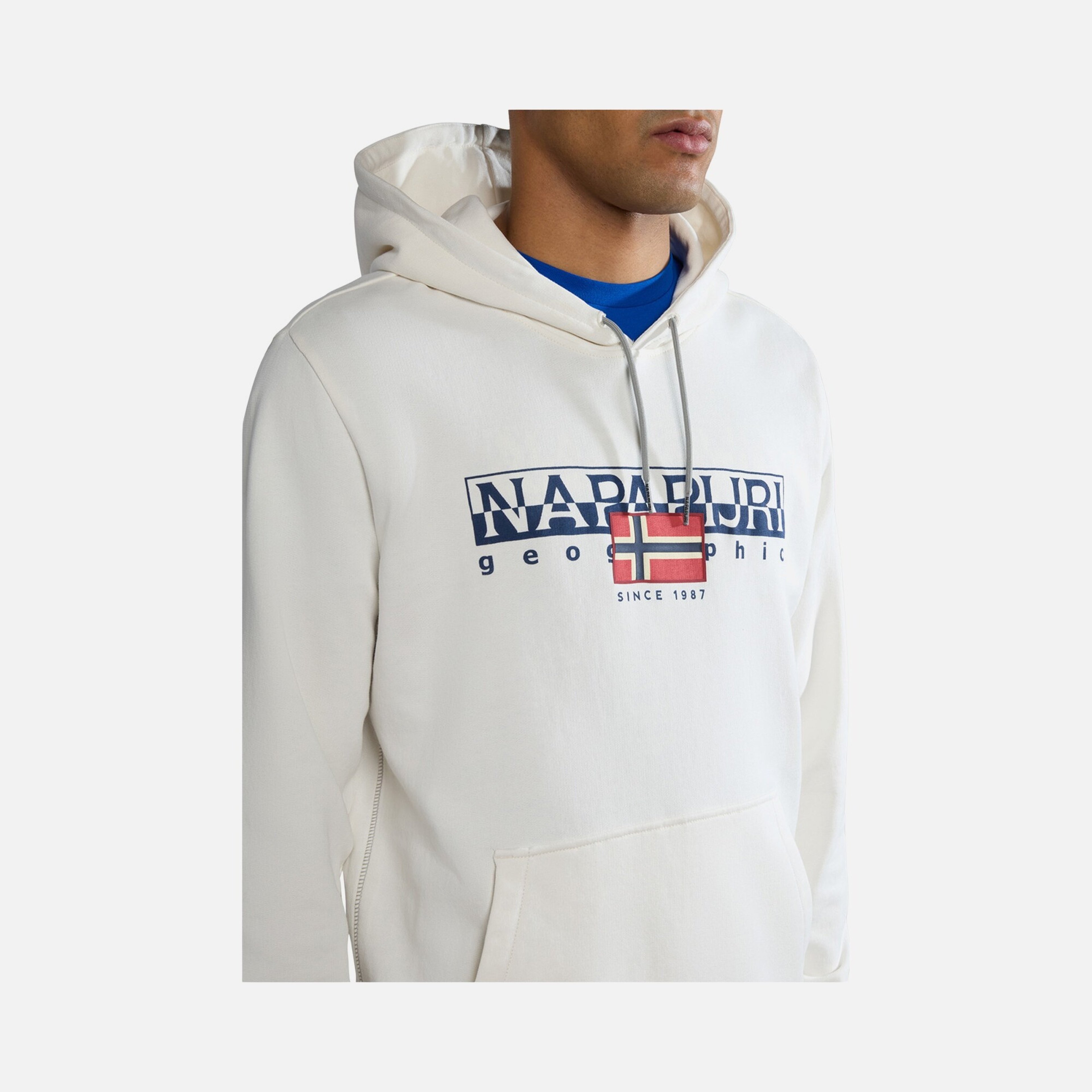 Napapijri Sportswear Aylmer Hoodie Erkek Sweatshirt