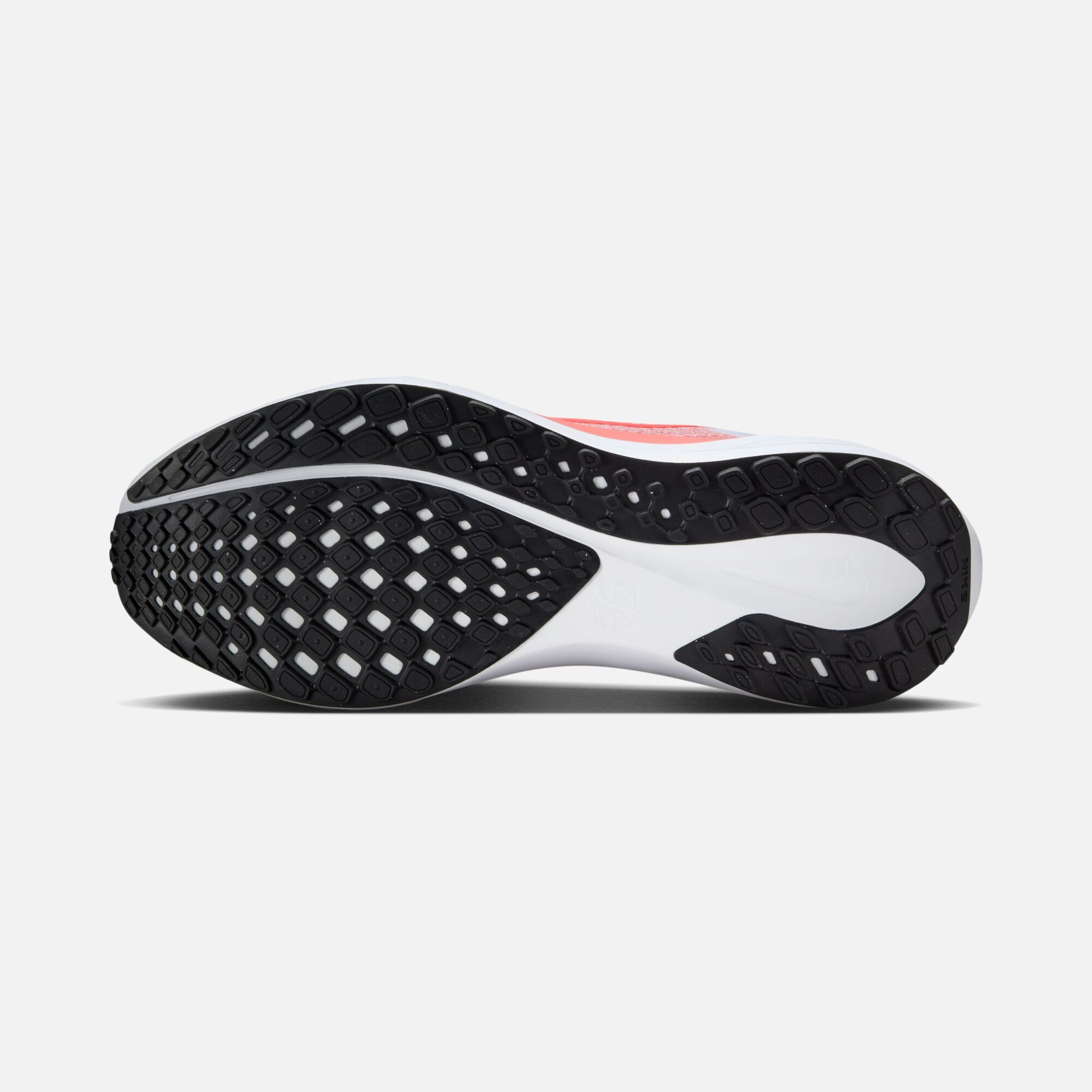 Nike Air Zoom Pegasus 41 Road Running Kadın Spor Ayakkabı