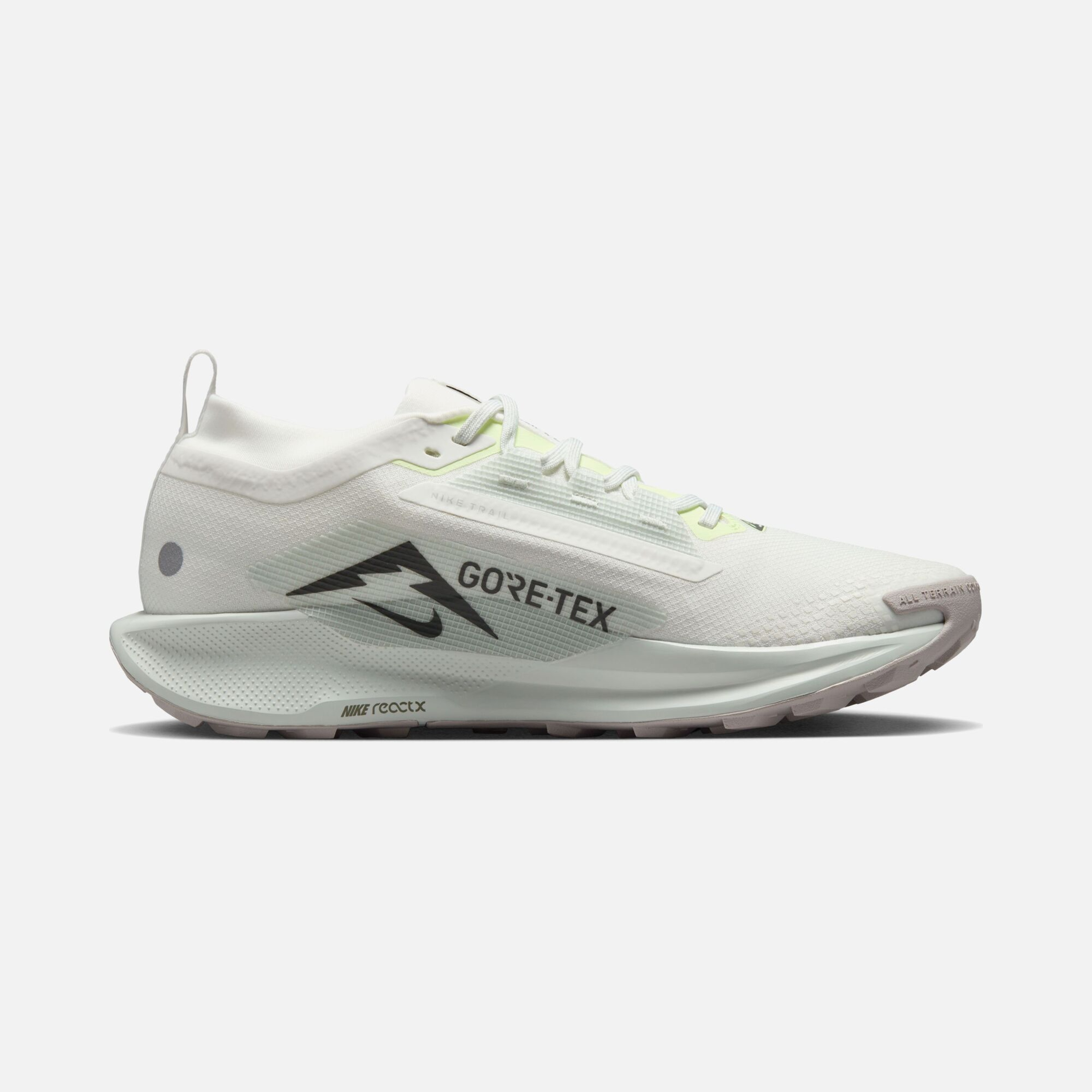 Nike Pegasus Trail 5 Gore-Tex Running Erkek Spor Ayakkabı