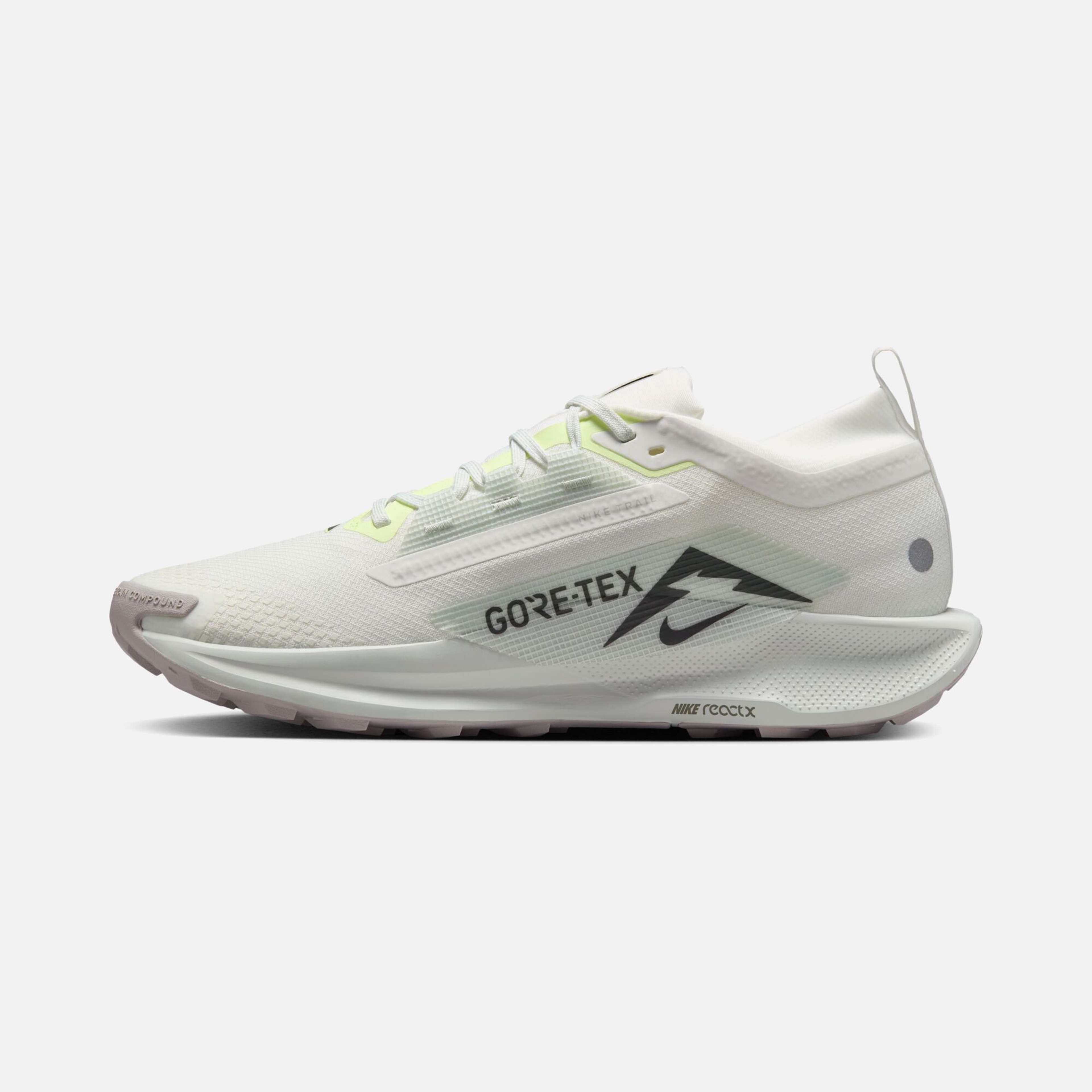 Nike Pegasus Trail 5 Gore-Tex Running Erkek Spor Ayakkabı