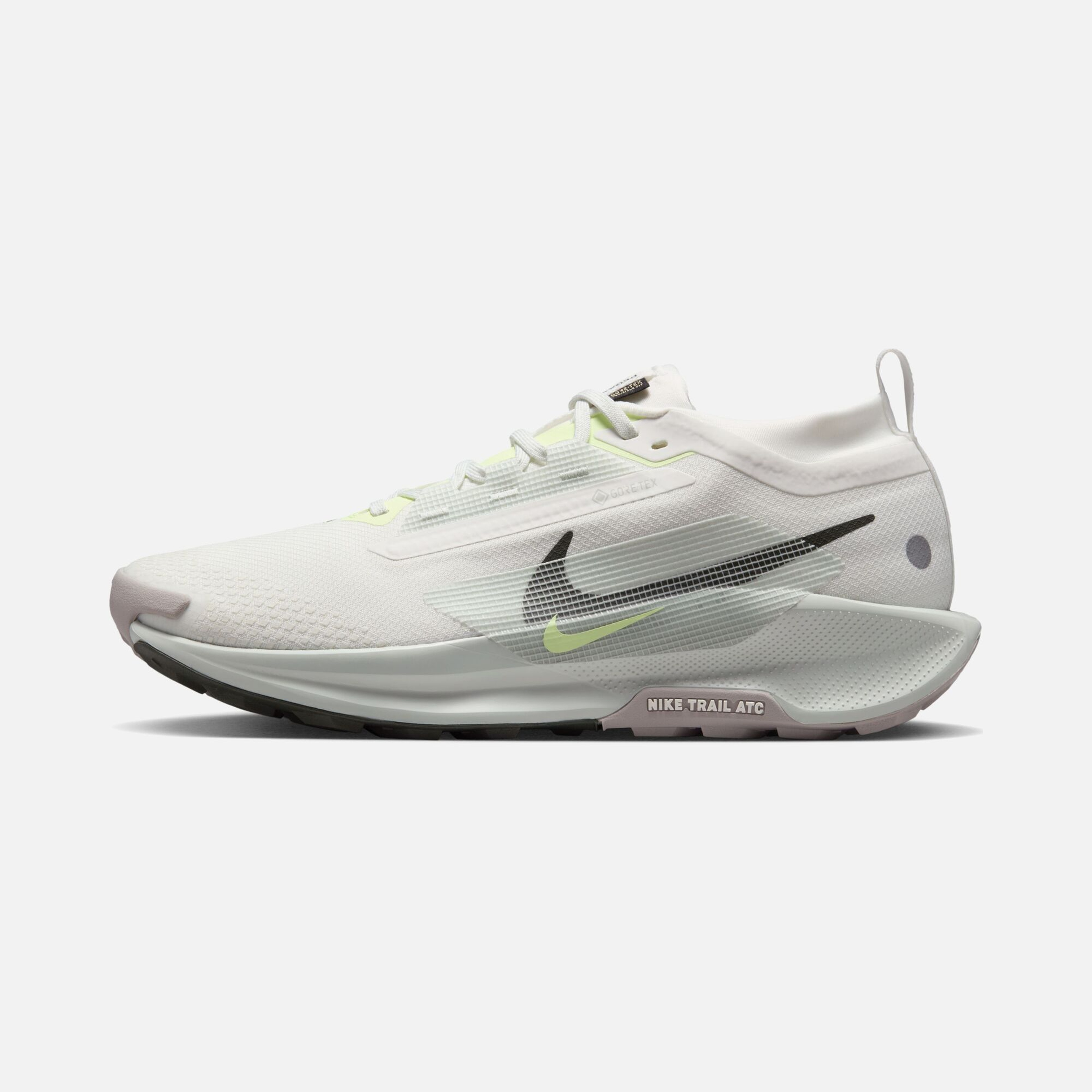 Nike Pegasus Trail 5 Gore-Tex Running Erkek Spor Ayakkabı