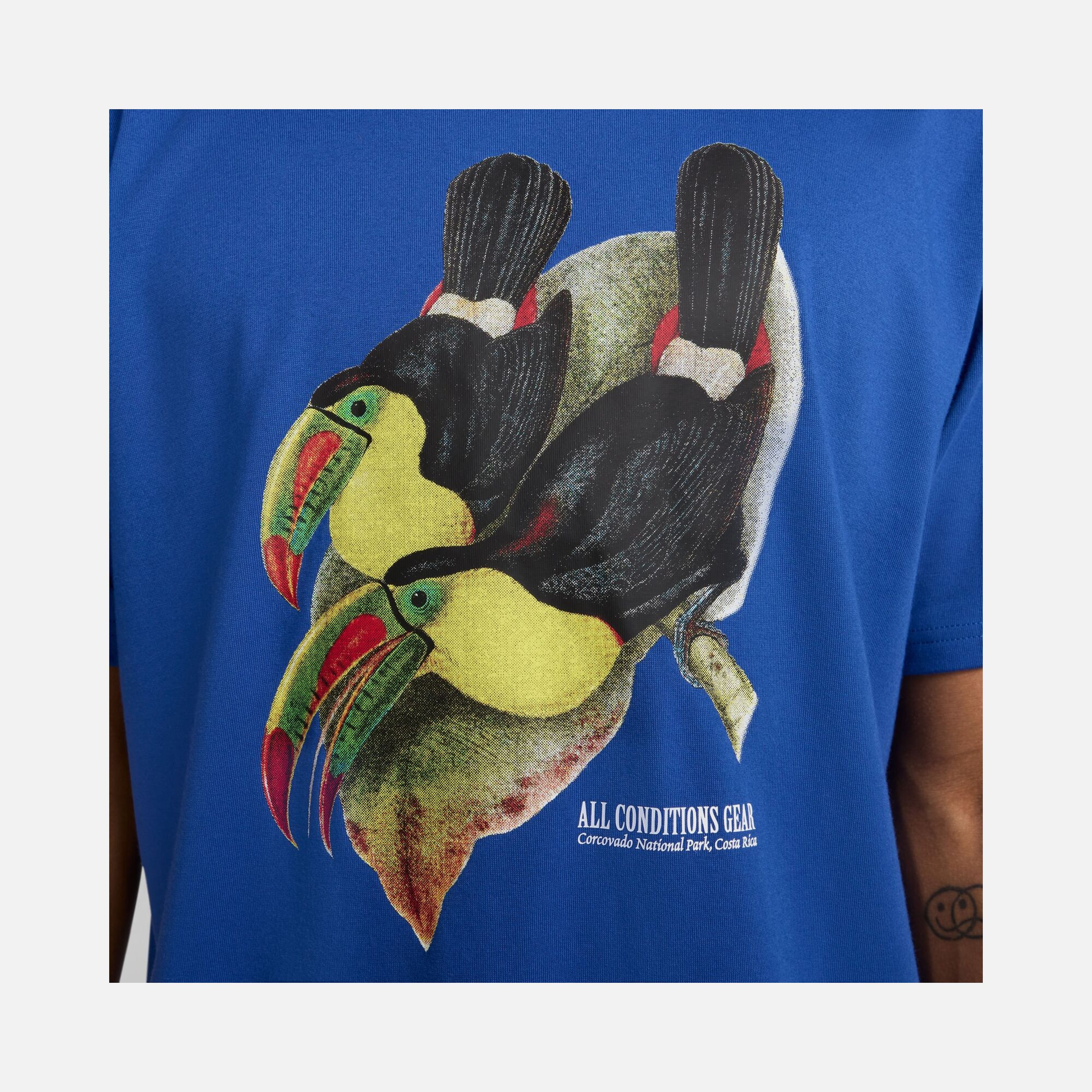 Nike Sportswear ACG Toucan Bird Graphic Short-Sleeve Erkek Tişört