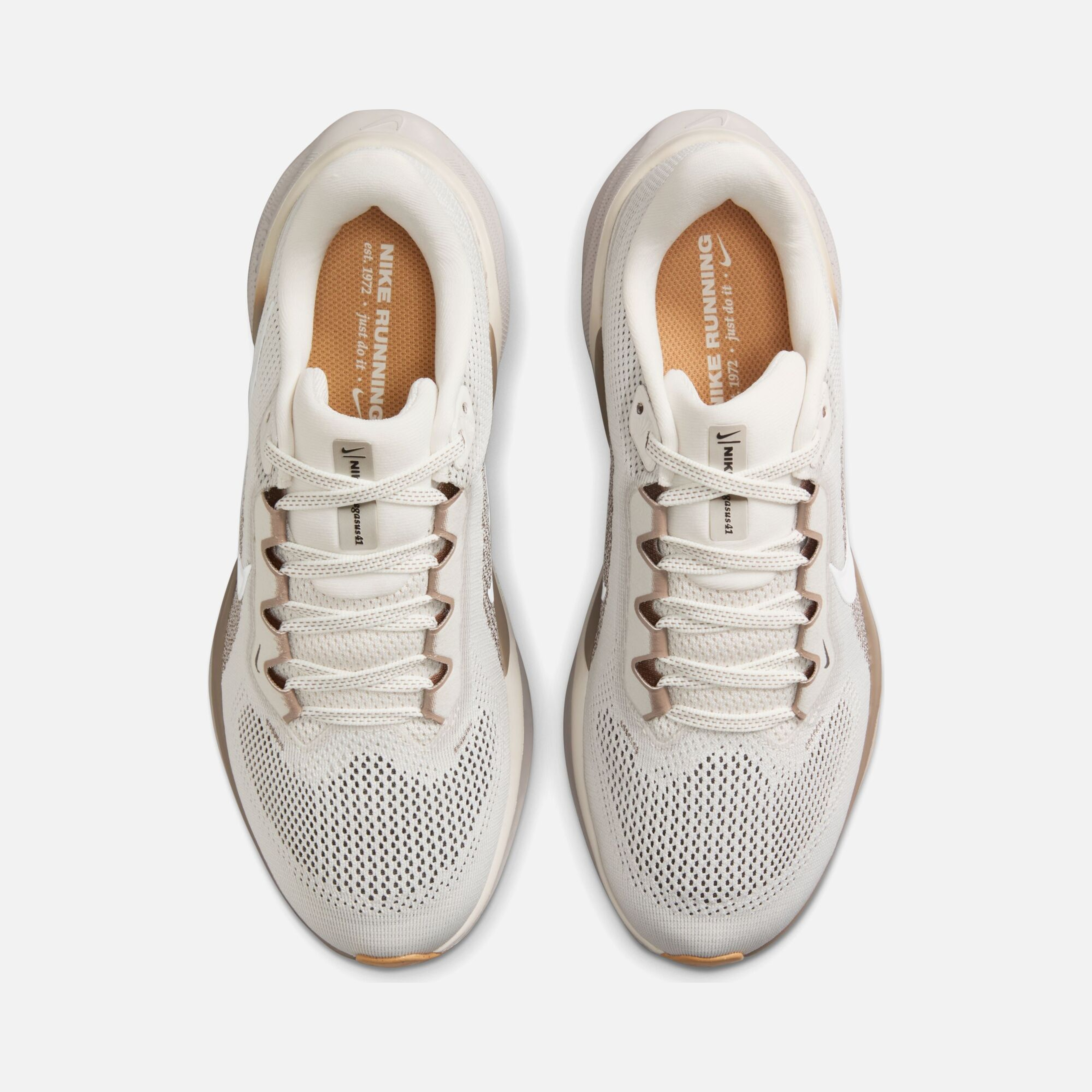 Nike Air Zoom Pegasus 41 Road Running Kadın Spor Ayakkabı