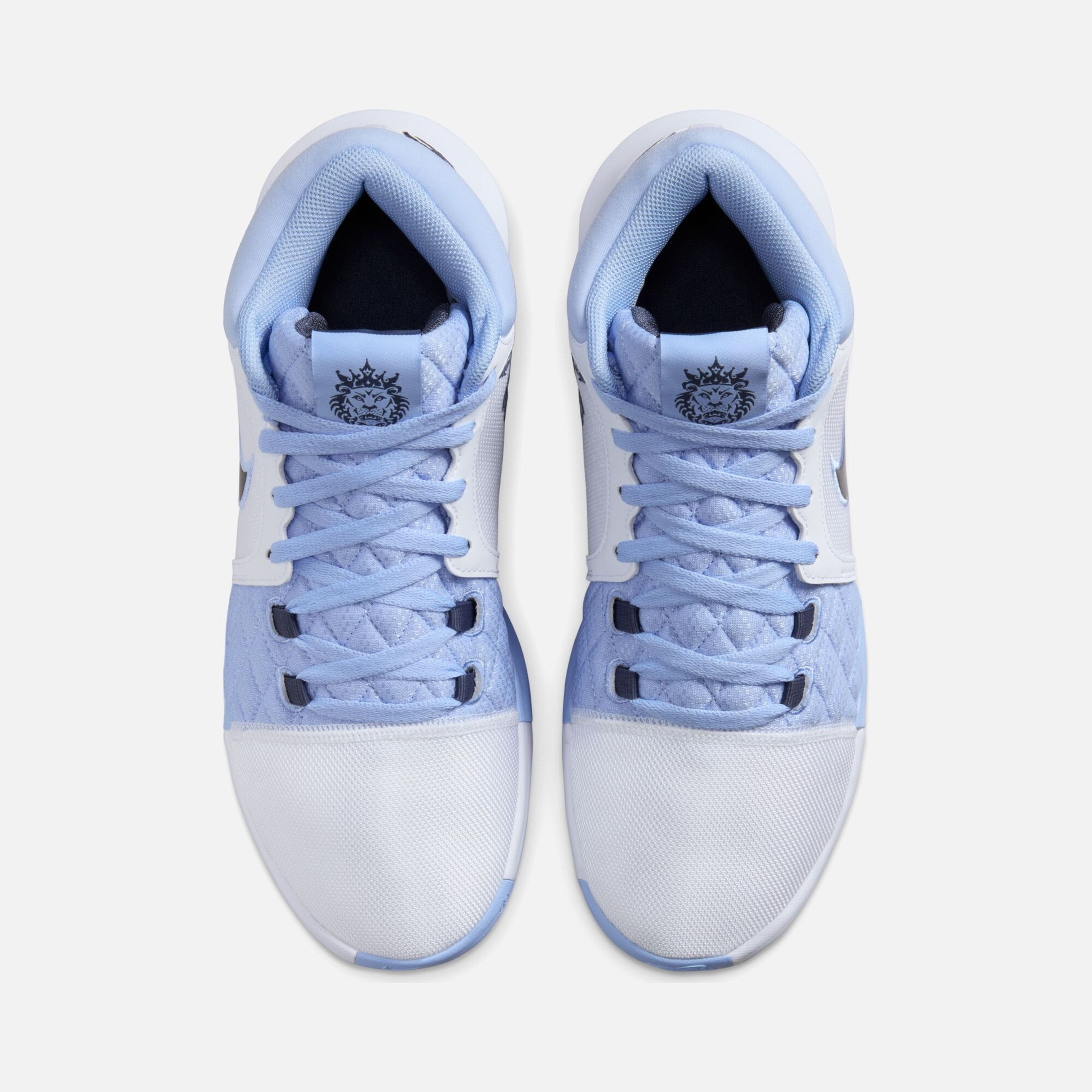 Nike LeBron James Witness VIII ''Bruce Lee'' Erkek Basketbol Ayakkabısı