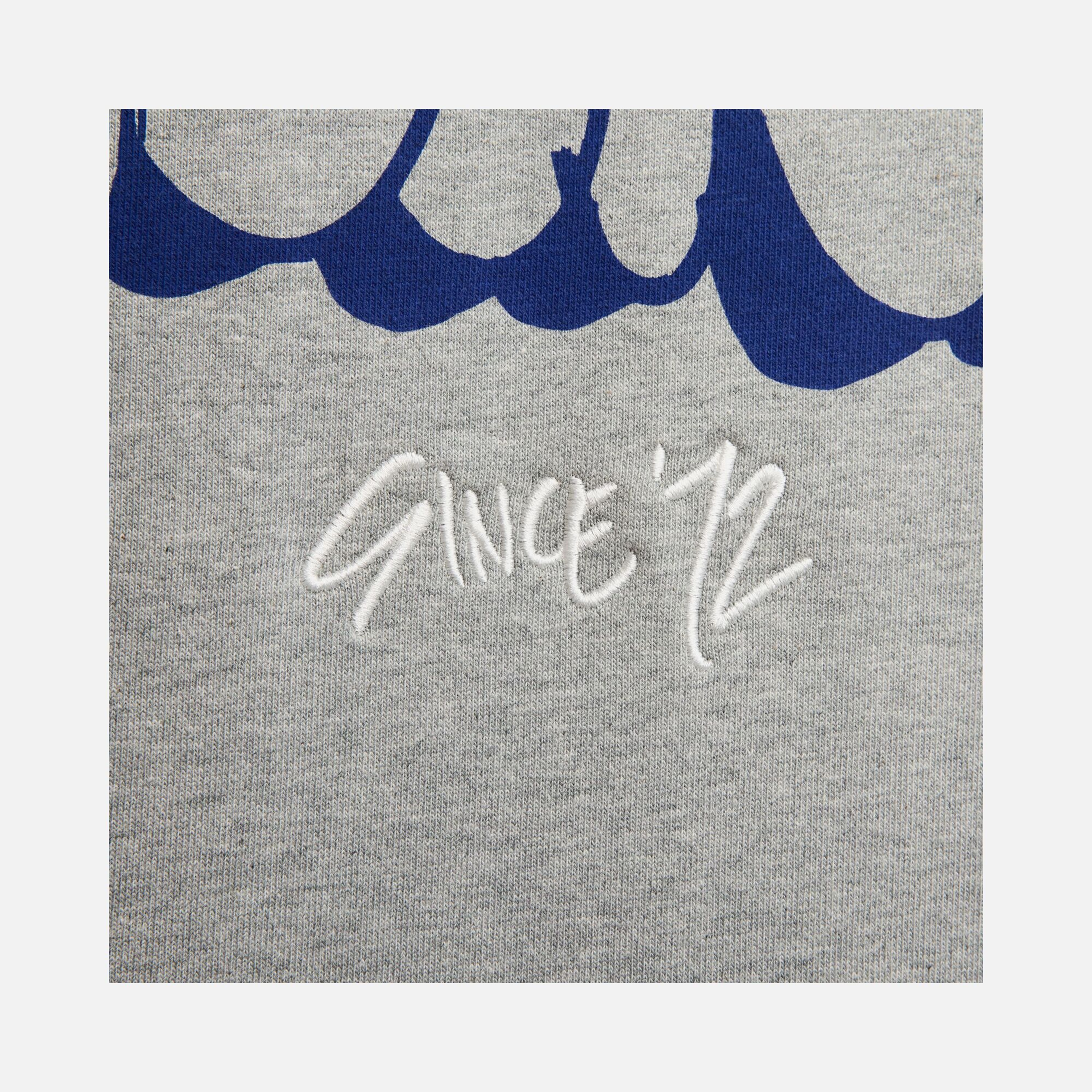 Nike Sportswear Solo Swoosh Graphics Fleece Hooded Erkek Sweatshirt