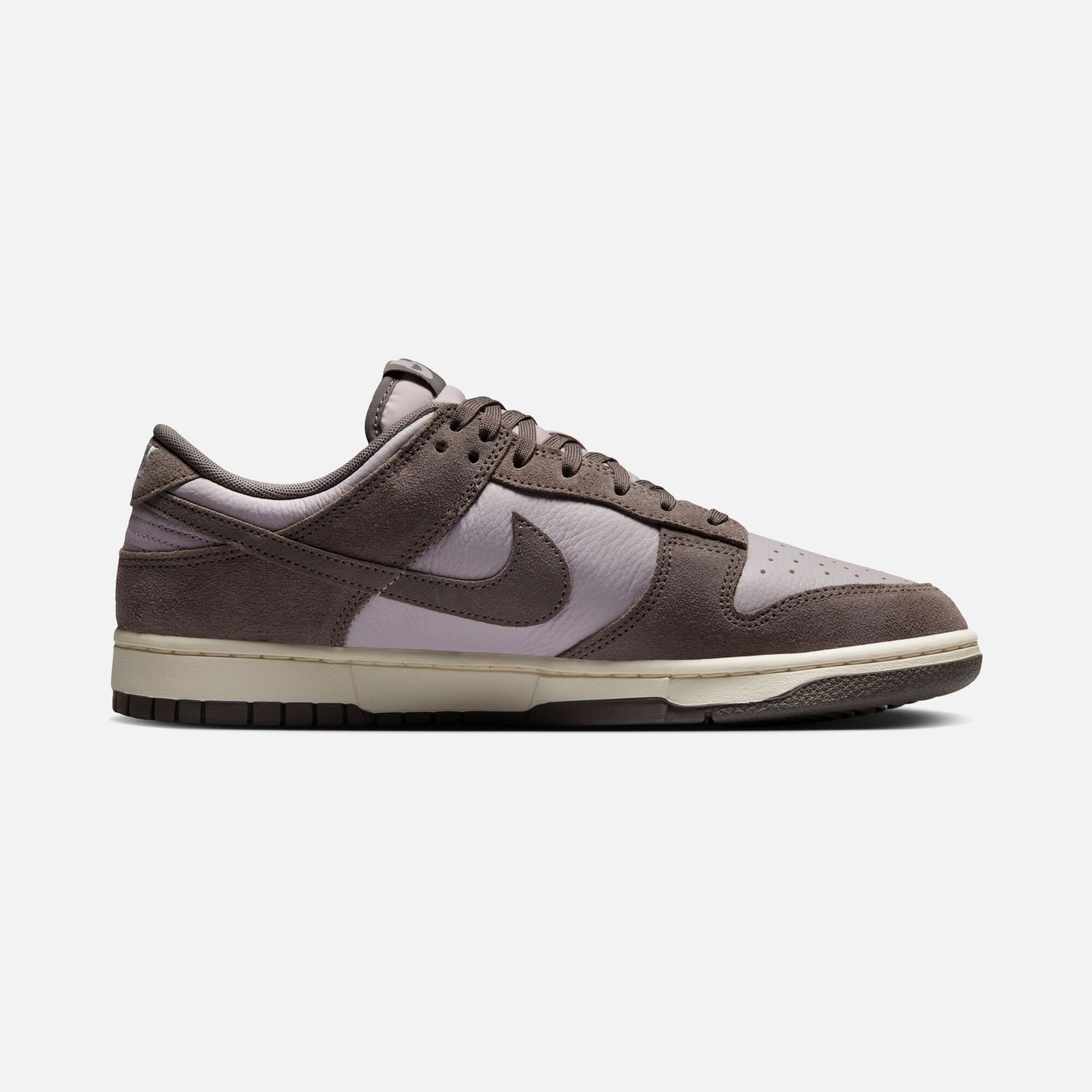 Nike Dunk Low Retro SE SS25 Erkek Spor Ayakkabı