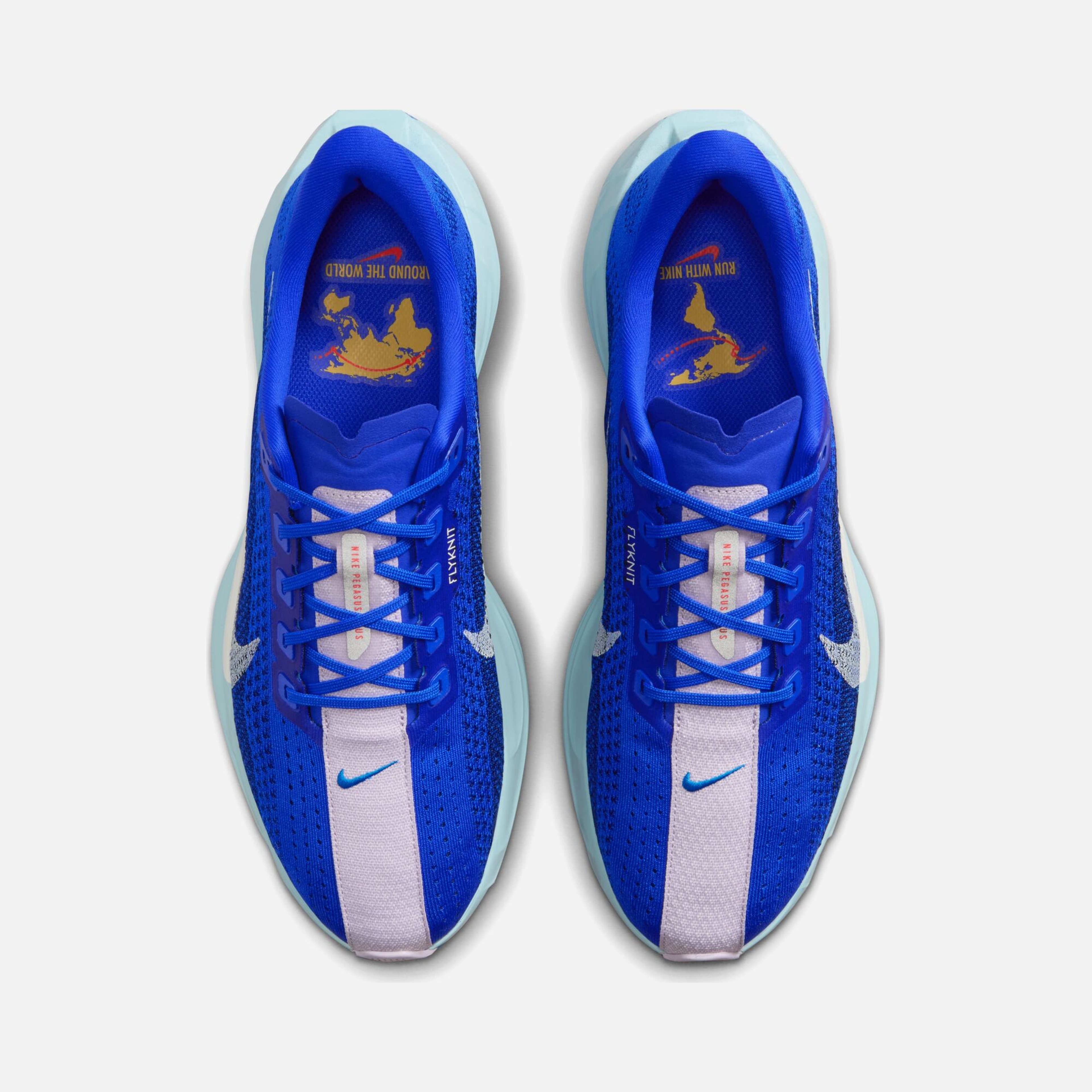 Nike Pegasus Plus CM Running Erkek Spor Ayakkabı