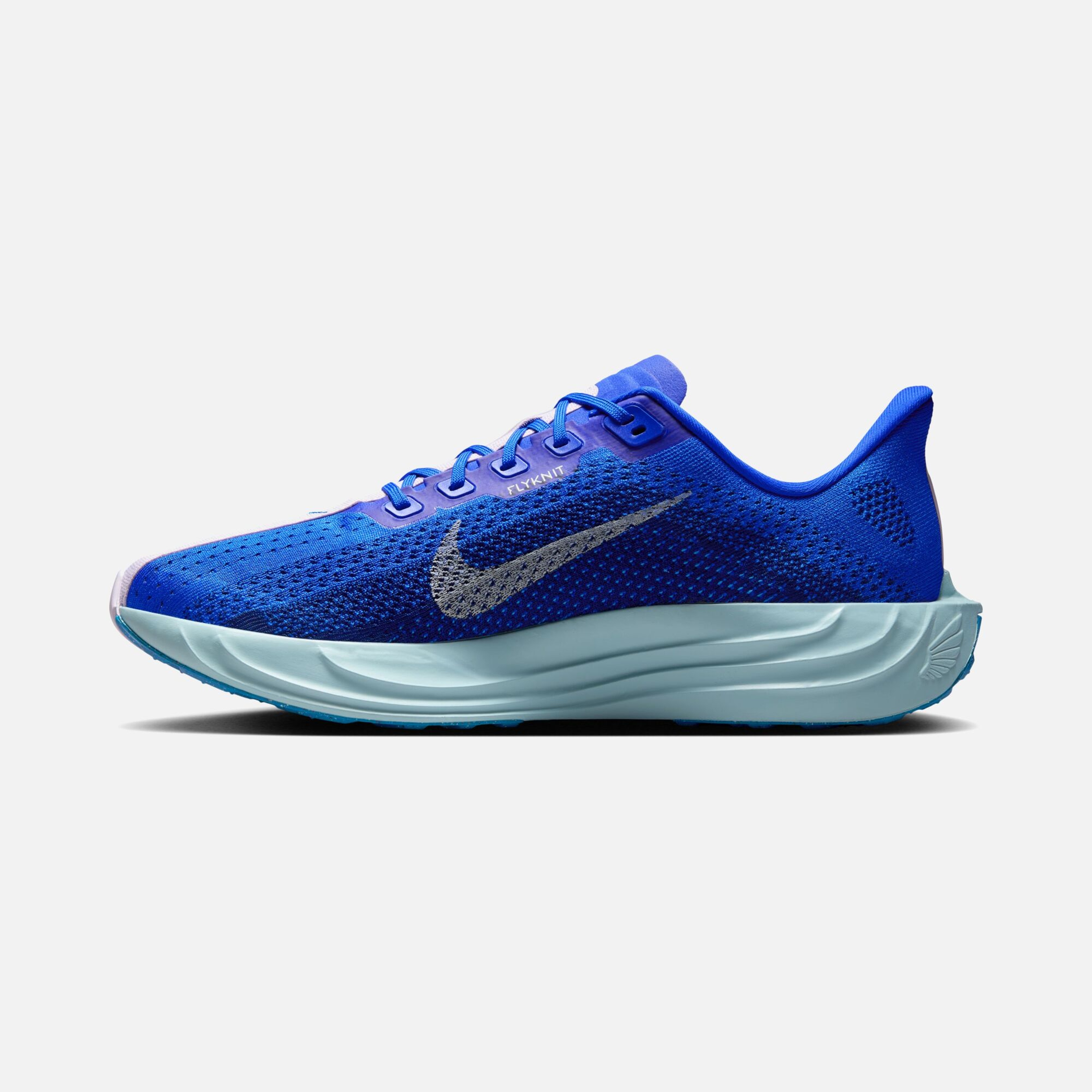 Nike Pegasus Plus CM Running Erkek Spor Ayakkabı