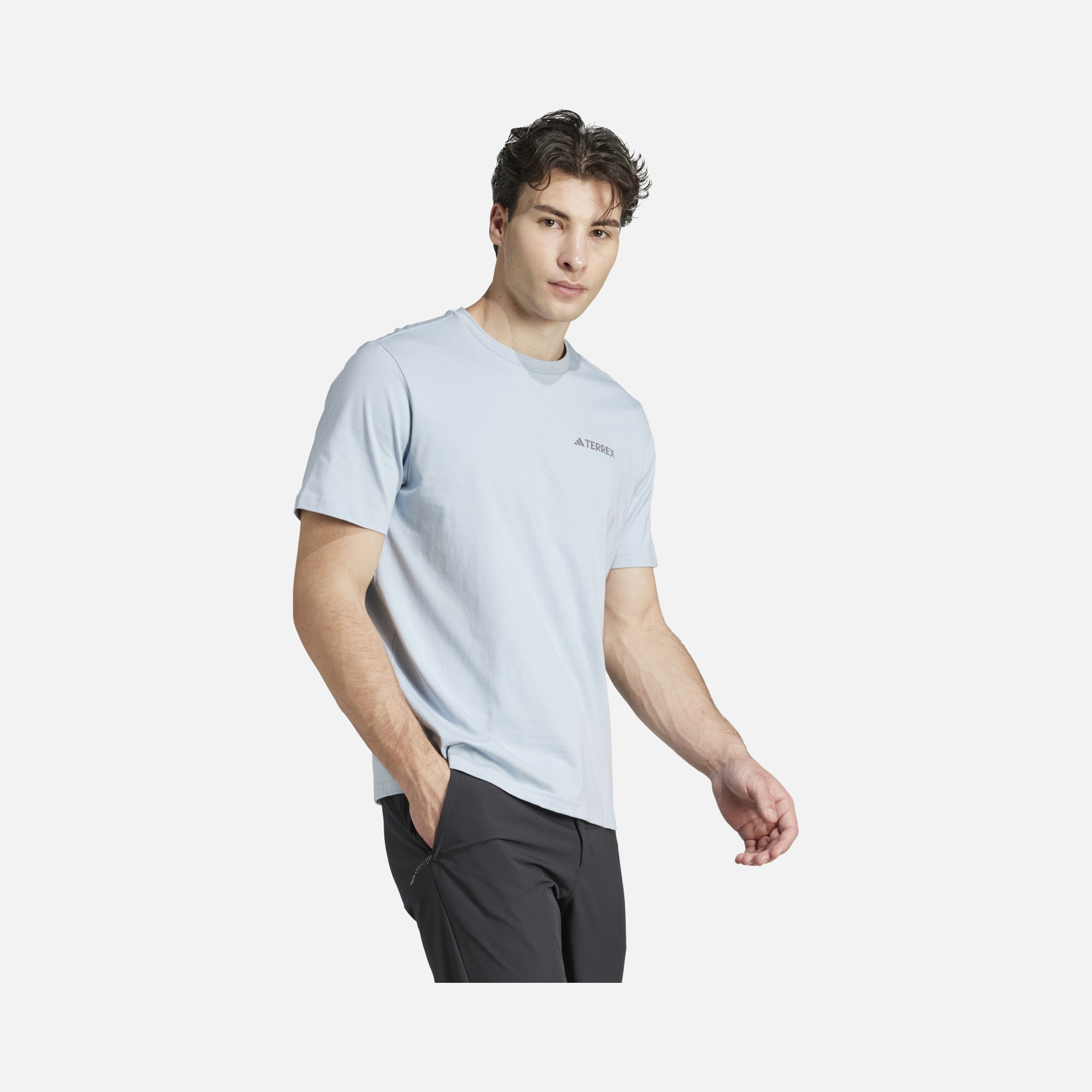 adidas Terrex Polygiene Graphic Hiking Short-Sleeve Erkek Tişört