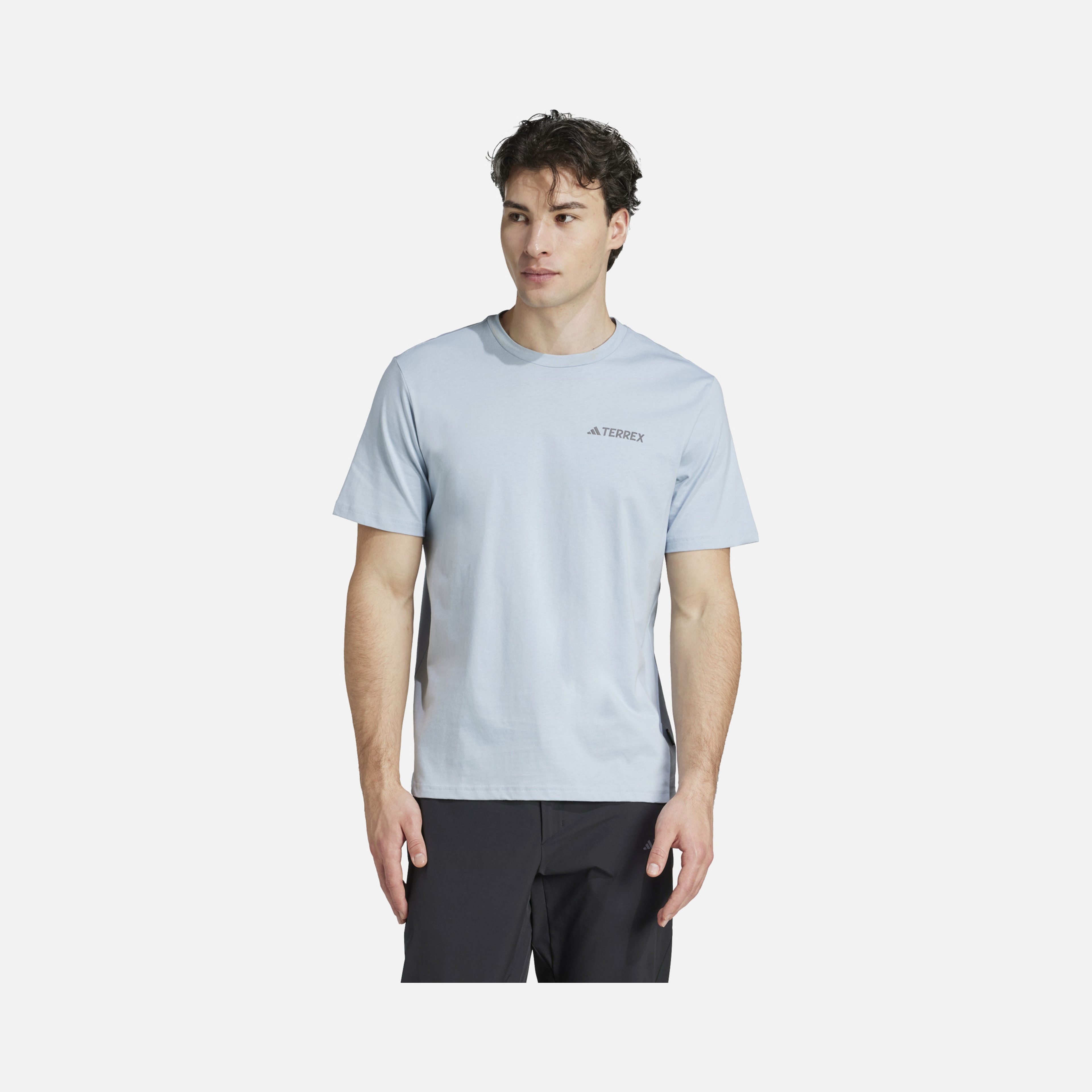 adidas Terrex Polygiene Graphic Hiking Short-Sleeve Erkek Tişört