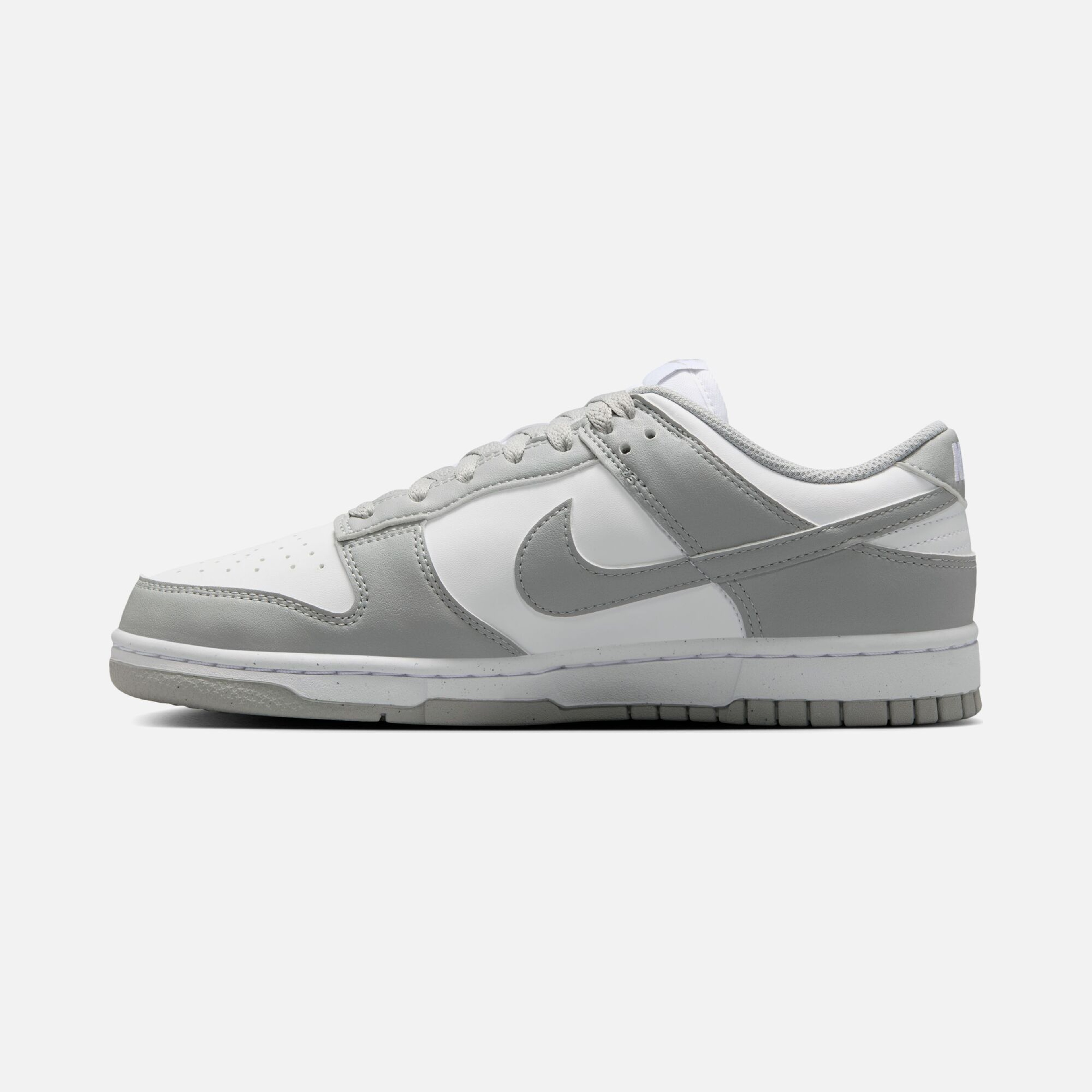 Nike Dunk Low Next Nature Kadın Spor Ayakkabı