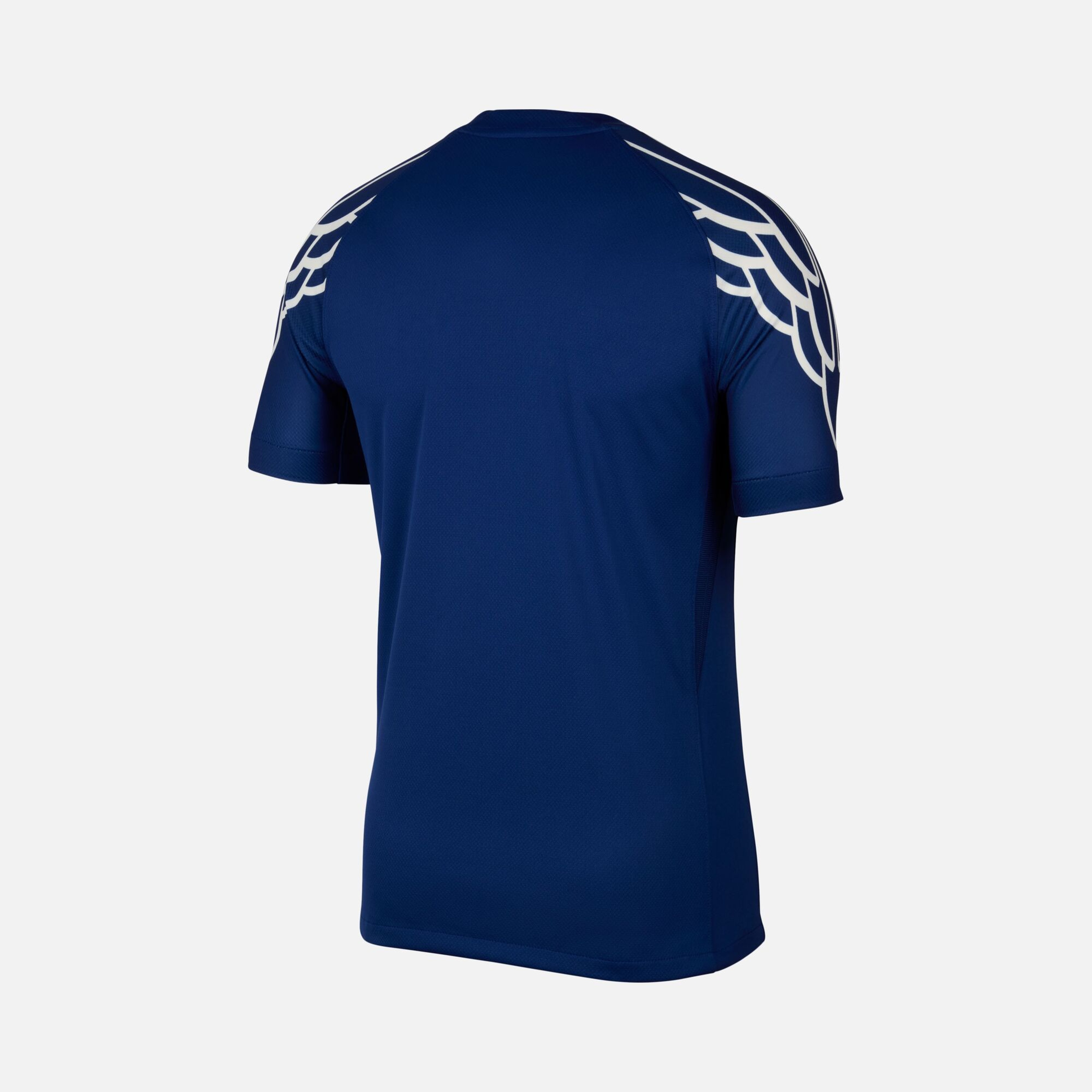 Nike Paris Saint-Germain 2024-2025 Stadyum 4th ''Celebrate 40 Years of the Special Edition Air Jordan 1'' Supporter Erkek Forma