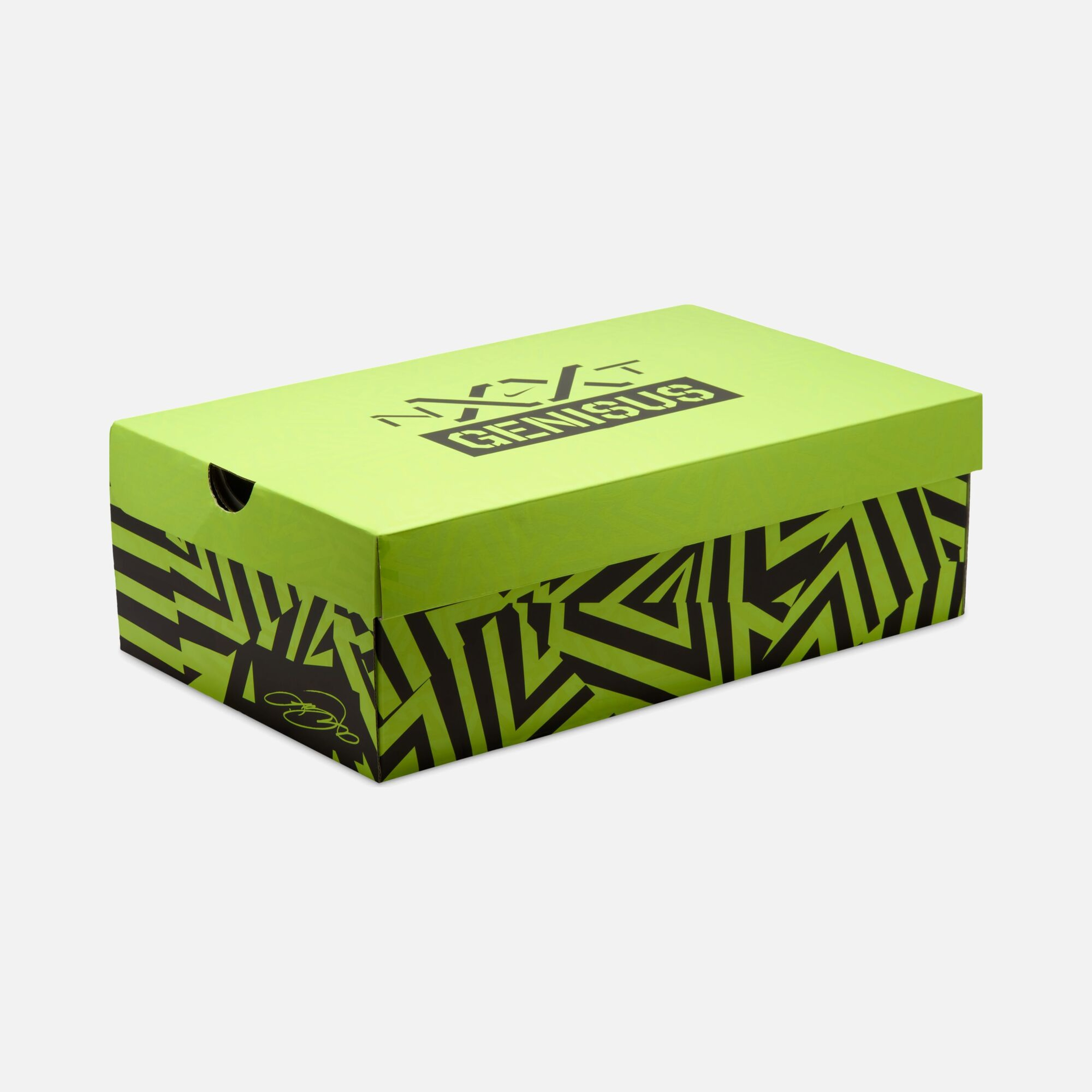 Nike LeBron James NXXT Genisus Erkek Basketbol Ayakkabısı