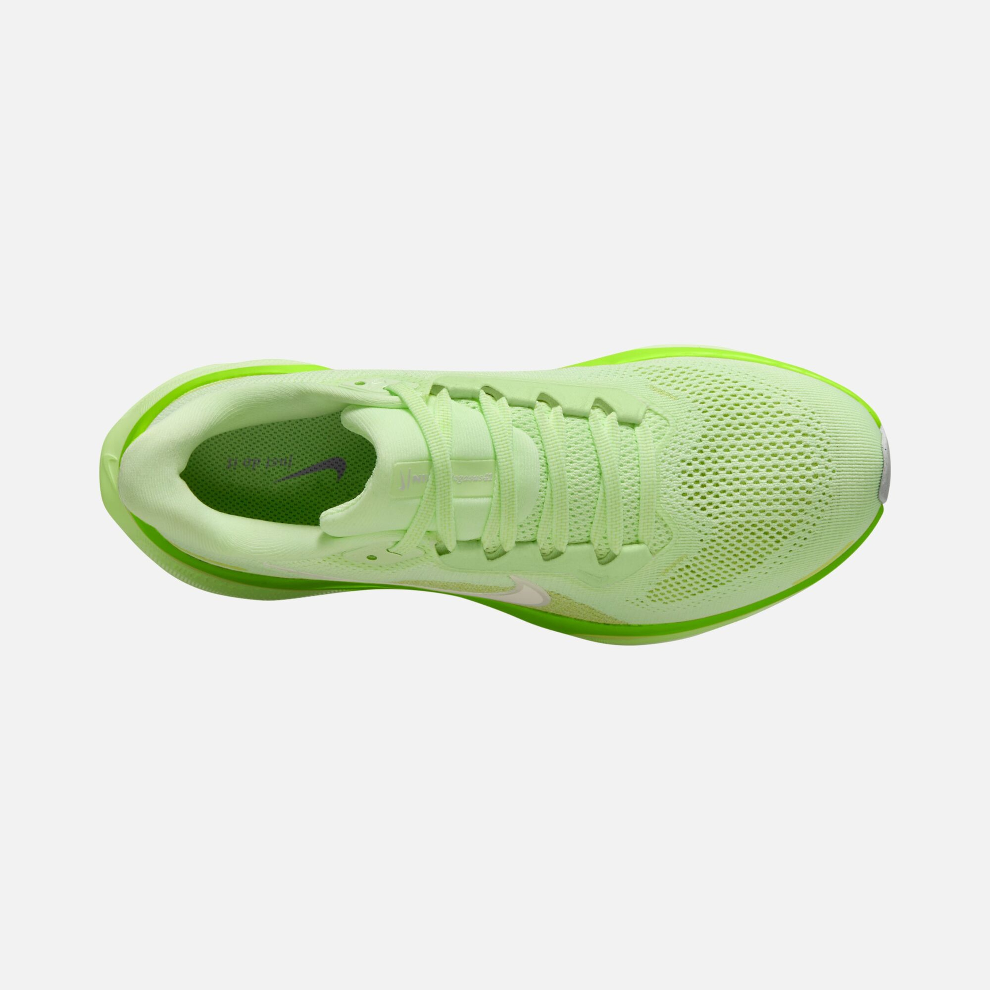 Nike Air Zoom Pegasus 41 Road Running Kadın Spor Ayakkabı