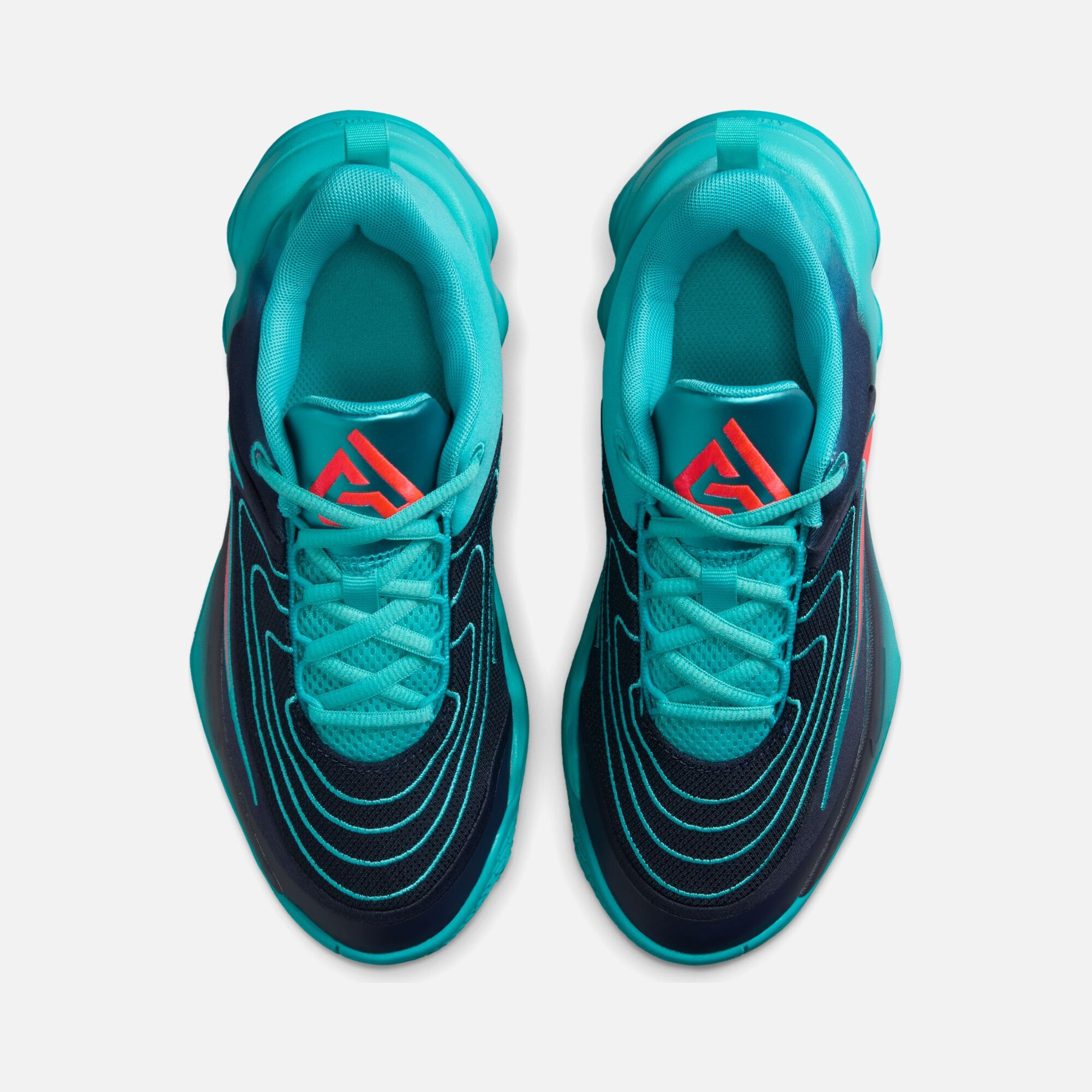 Nike Giannis Antetokounmpo Immortality 4 (GS) Basketbol Ayakkabısı