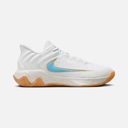 Nike Giannis Antetokounmpo Signature Core Immortality 4 Erkek Basketbol Ayakkabısı