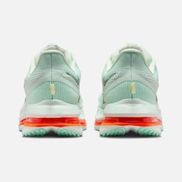 Nike Pegasus Premium Erkek Koşu Ayakkabısı