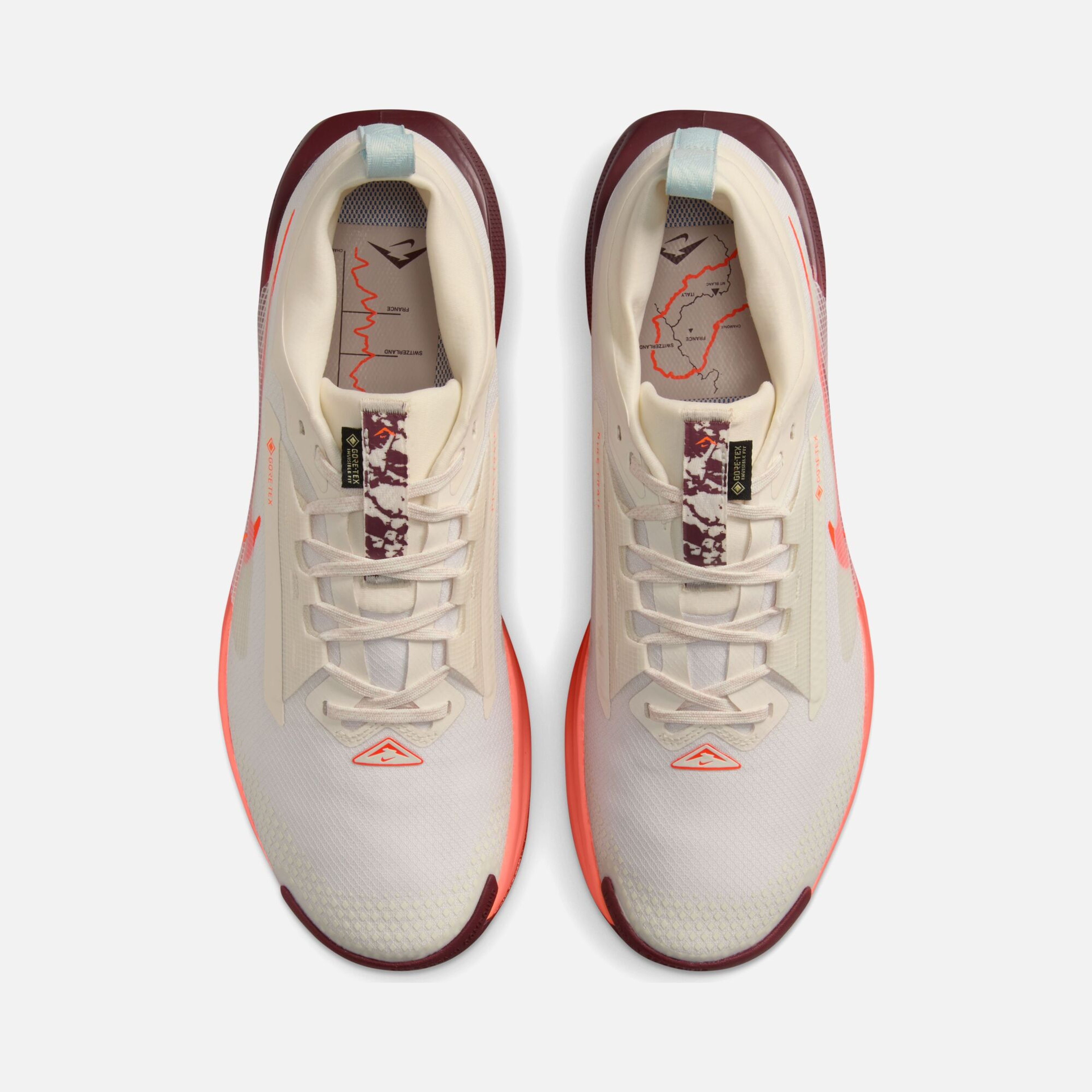 Nike Pegasus Trail 5 Gore-Tex Running Erkek Spor Ayakkabı