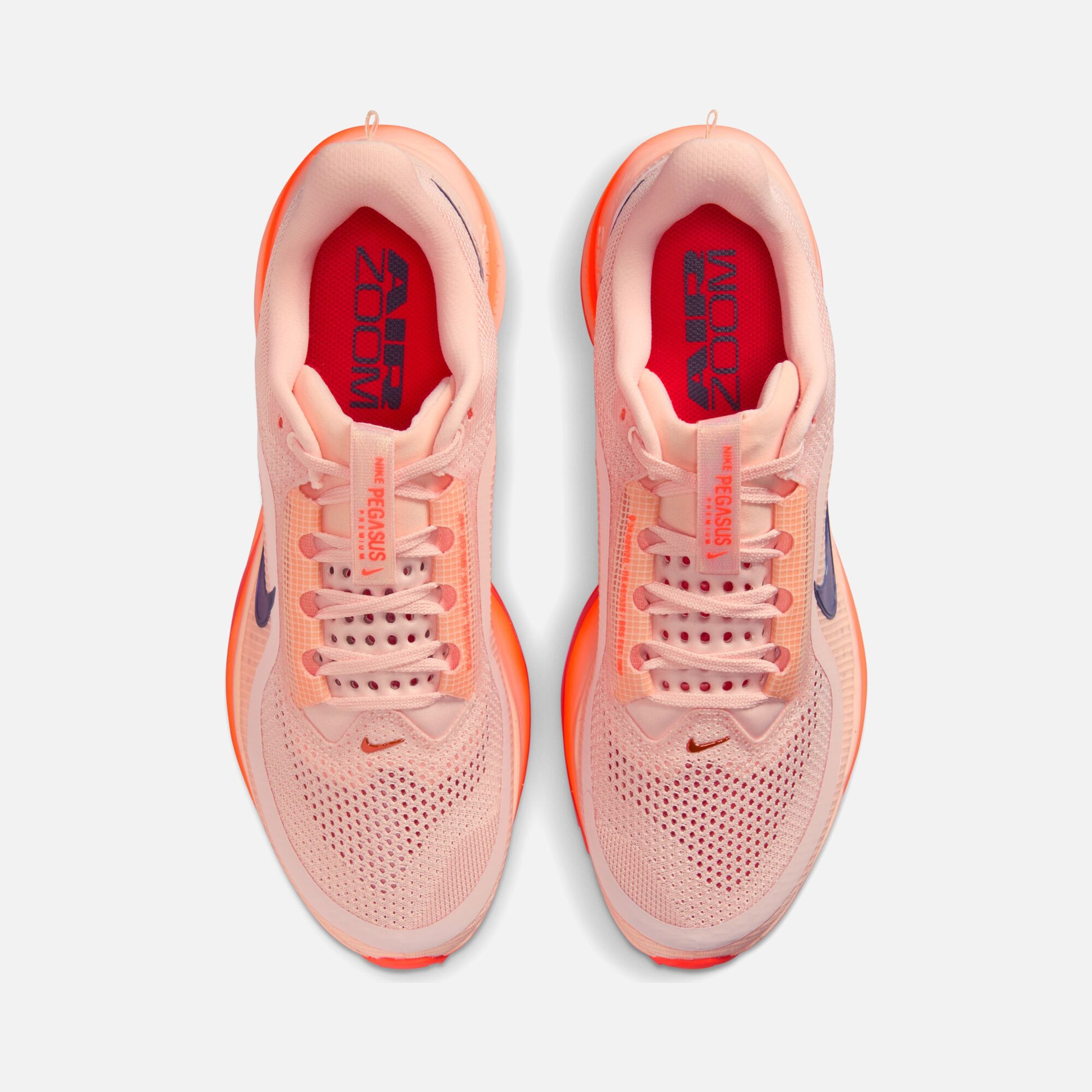 Nike Pegasus Premium FA25 Erkek Koşu Ayakkabısı