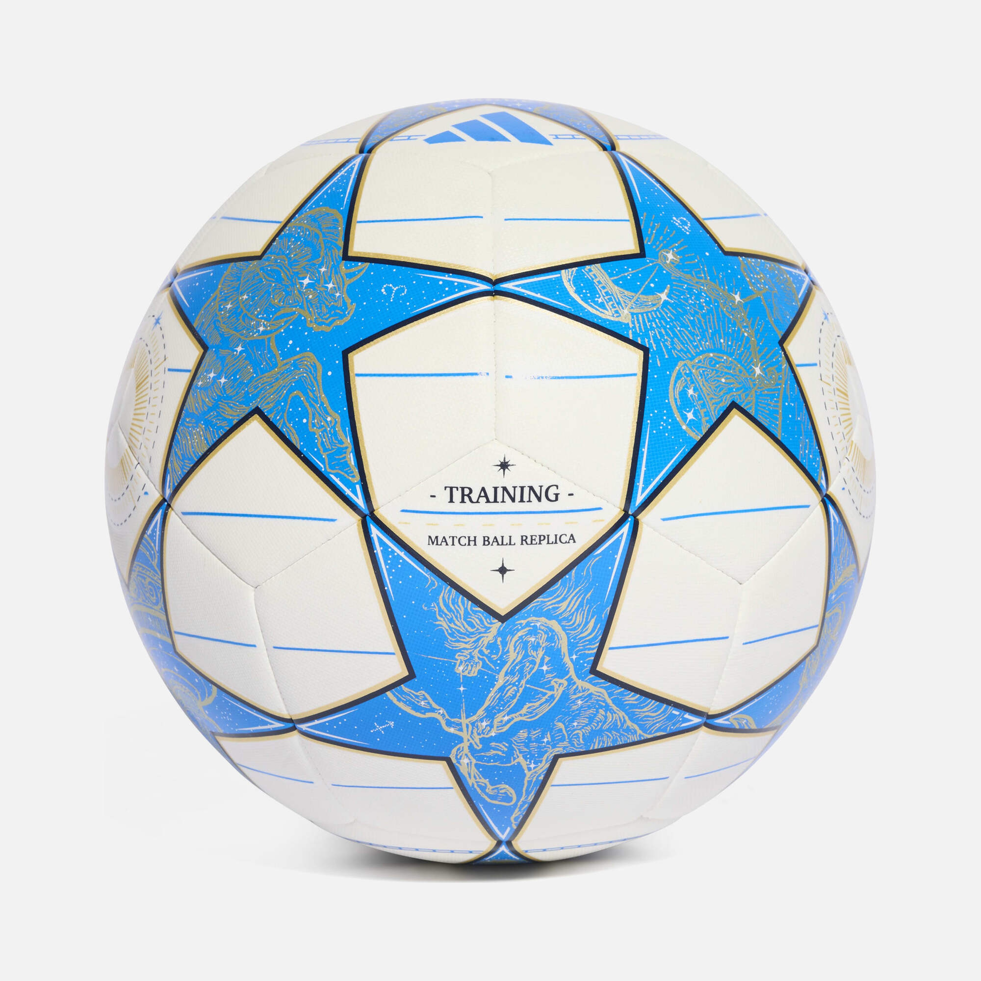 adidas Uefa Champions League Ucl Trn Futbol Topu