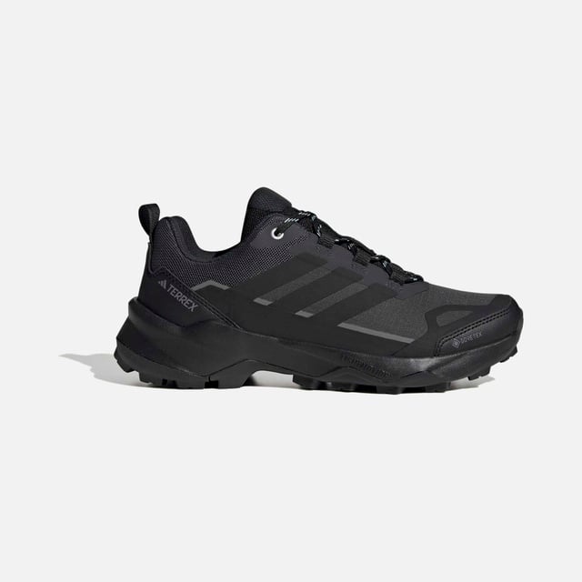 Adidas Siyah Adidas Terrex Skychaser Ax5