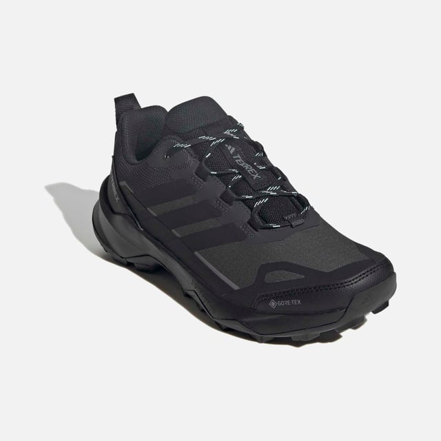 Adidas Siyah Adidas Terrex Skychaser Ax5