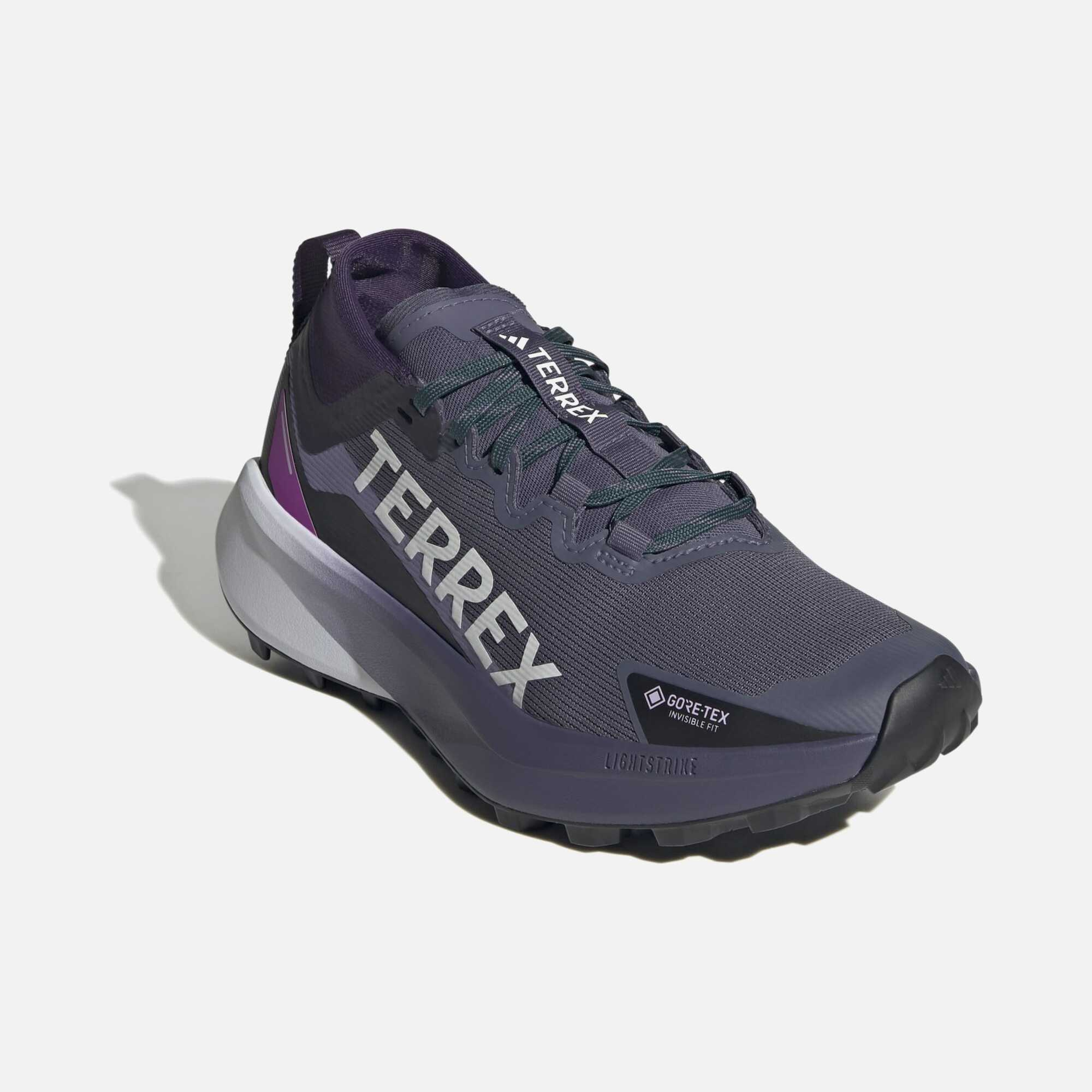 adidas Terrex Agravic Gtx W Kadın Outdoor Ayakkabı