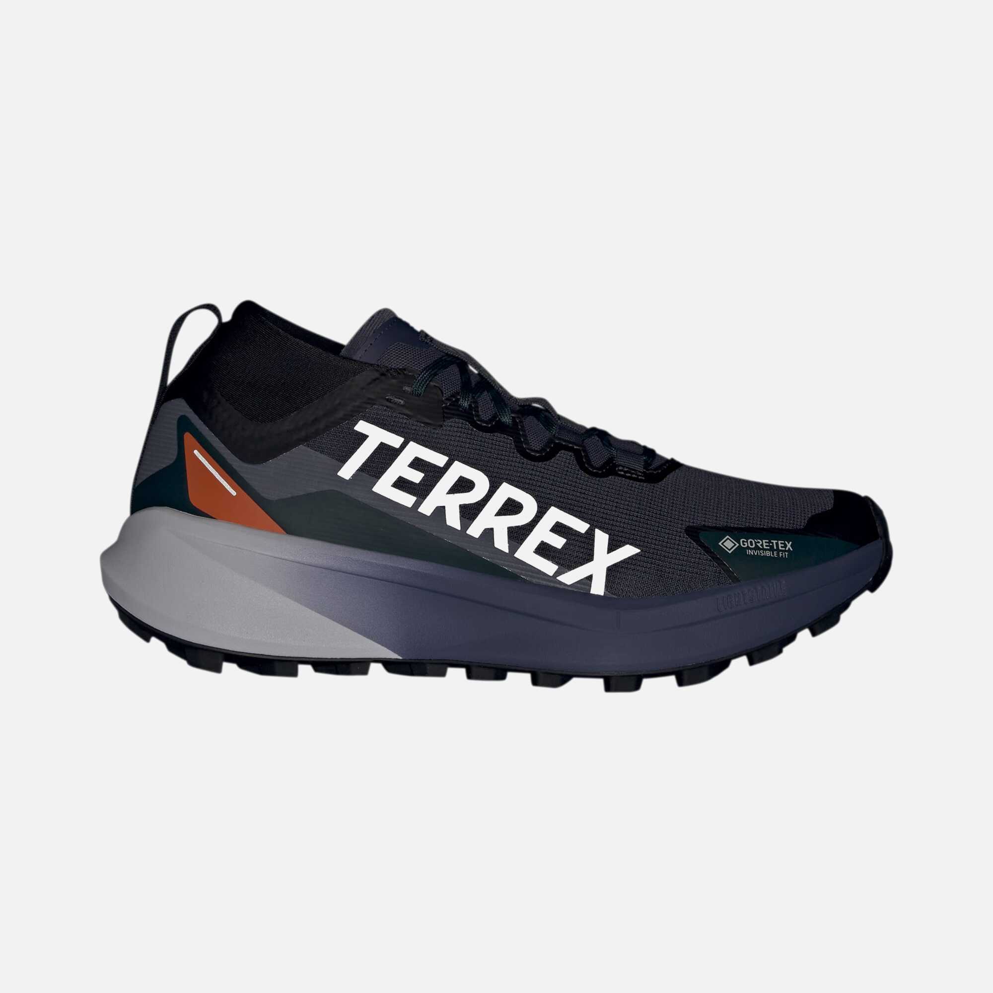 adidas Terrex Agravic Gtx FW25 Erkek Outdoor Ayakkabı | Barçın