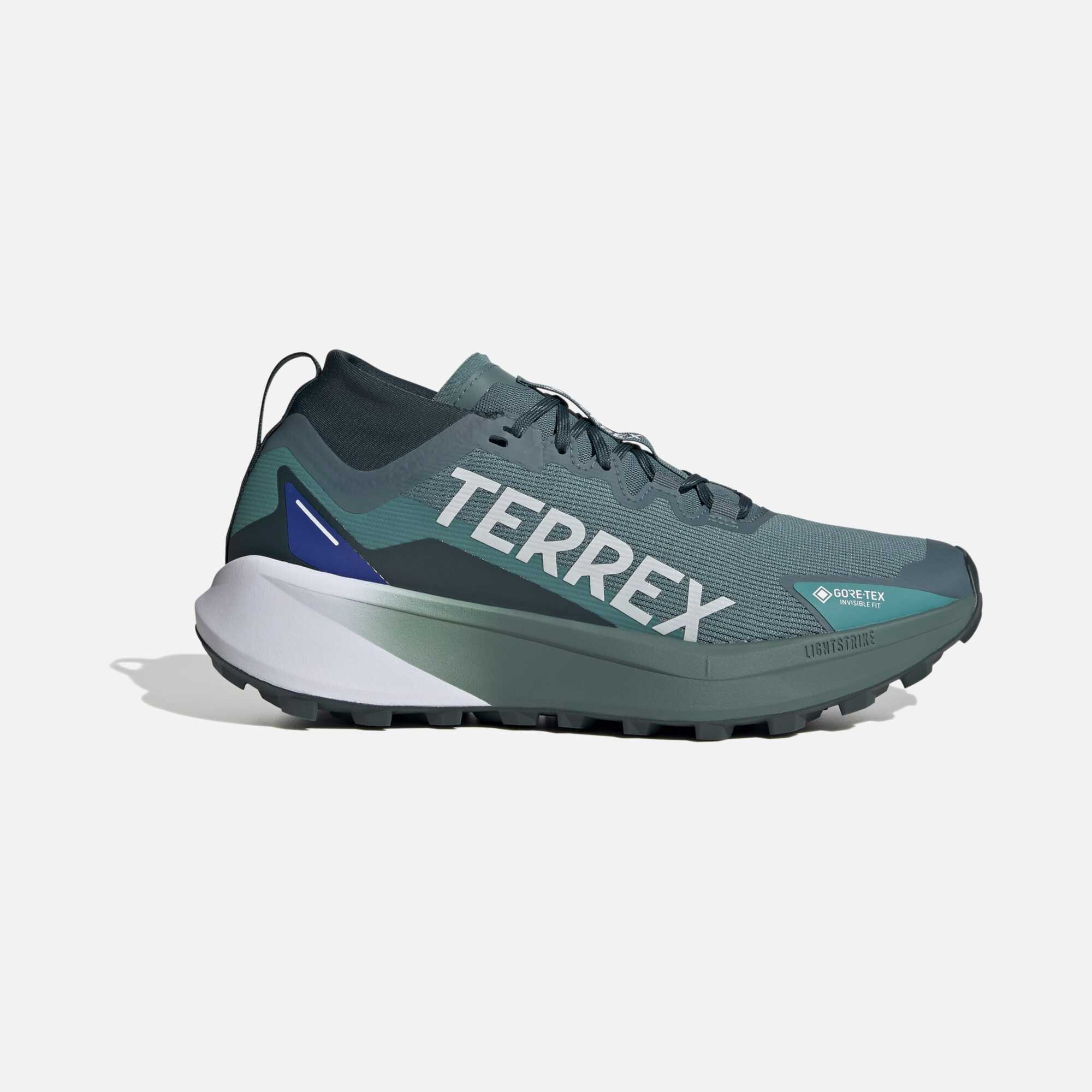 adidas Terrex Agravic Gtx FW25 Erkek Outdoor Ayakkabı | Barçın