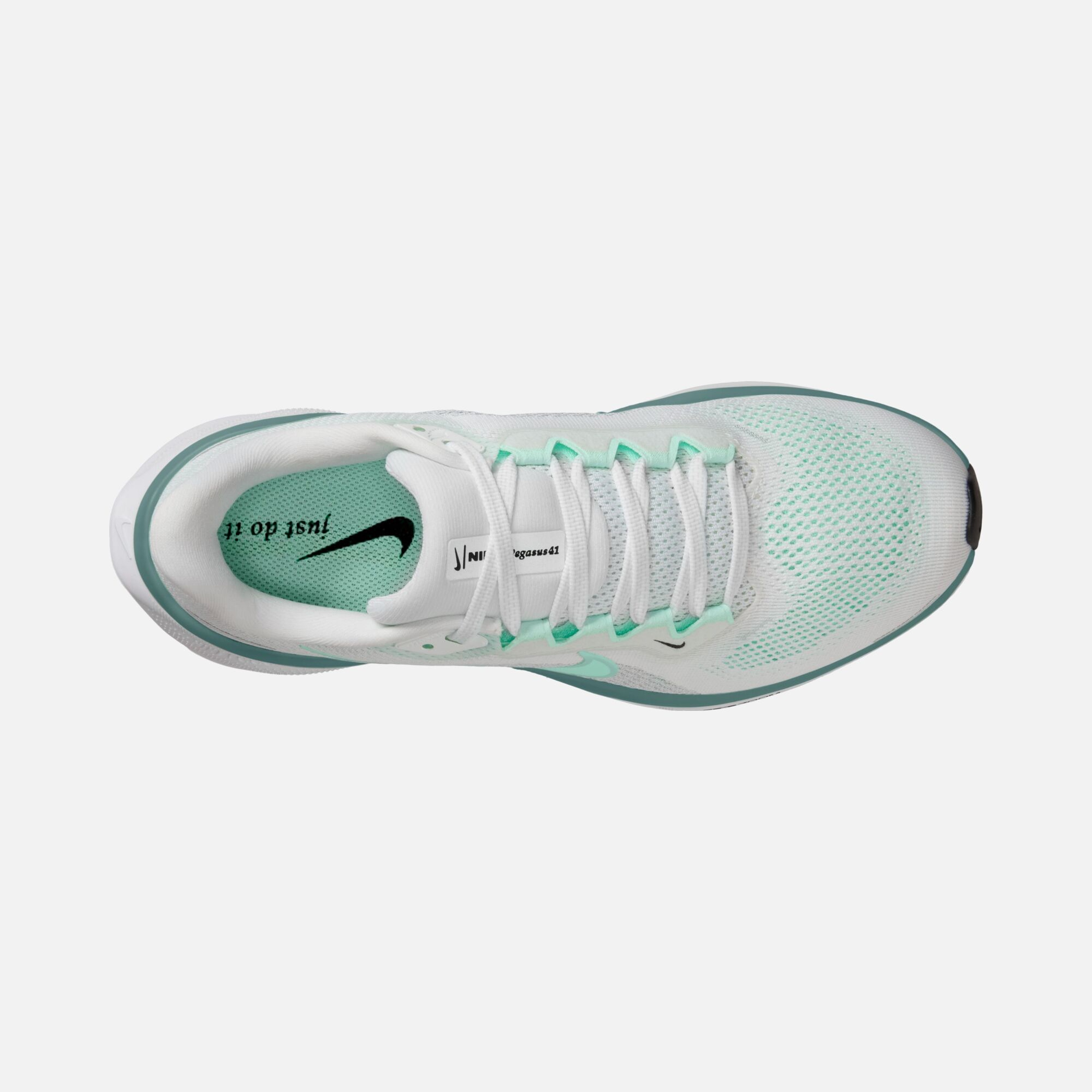 Nike Air Zoom Pegasus 41 Road Running Kadın Spor Ayakkabı