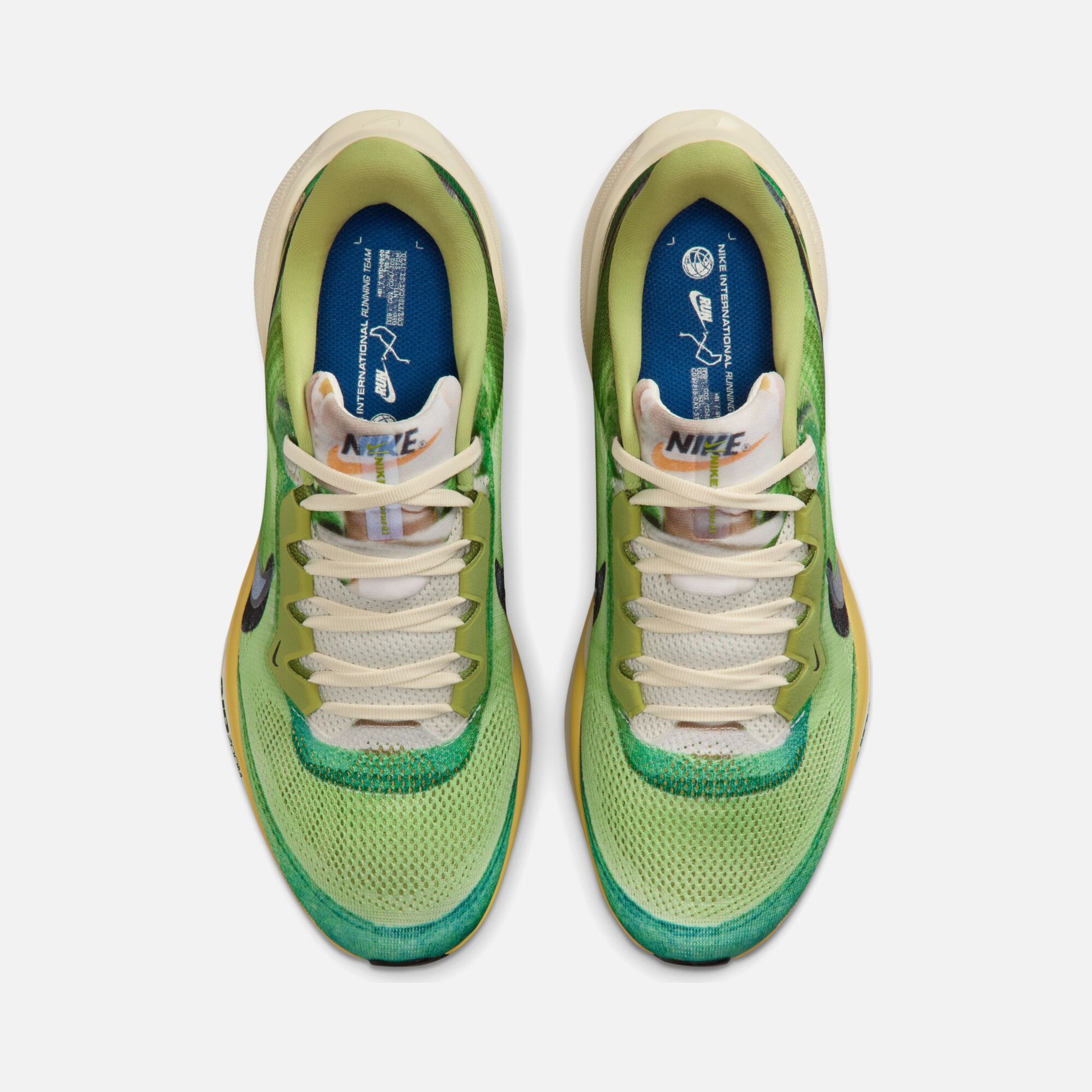 NIKE Pegasus 41 se マルチカラー Nike Air Zoom Pegasus 41 Se Erkek Koşu Ayakkabısı | Barçın