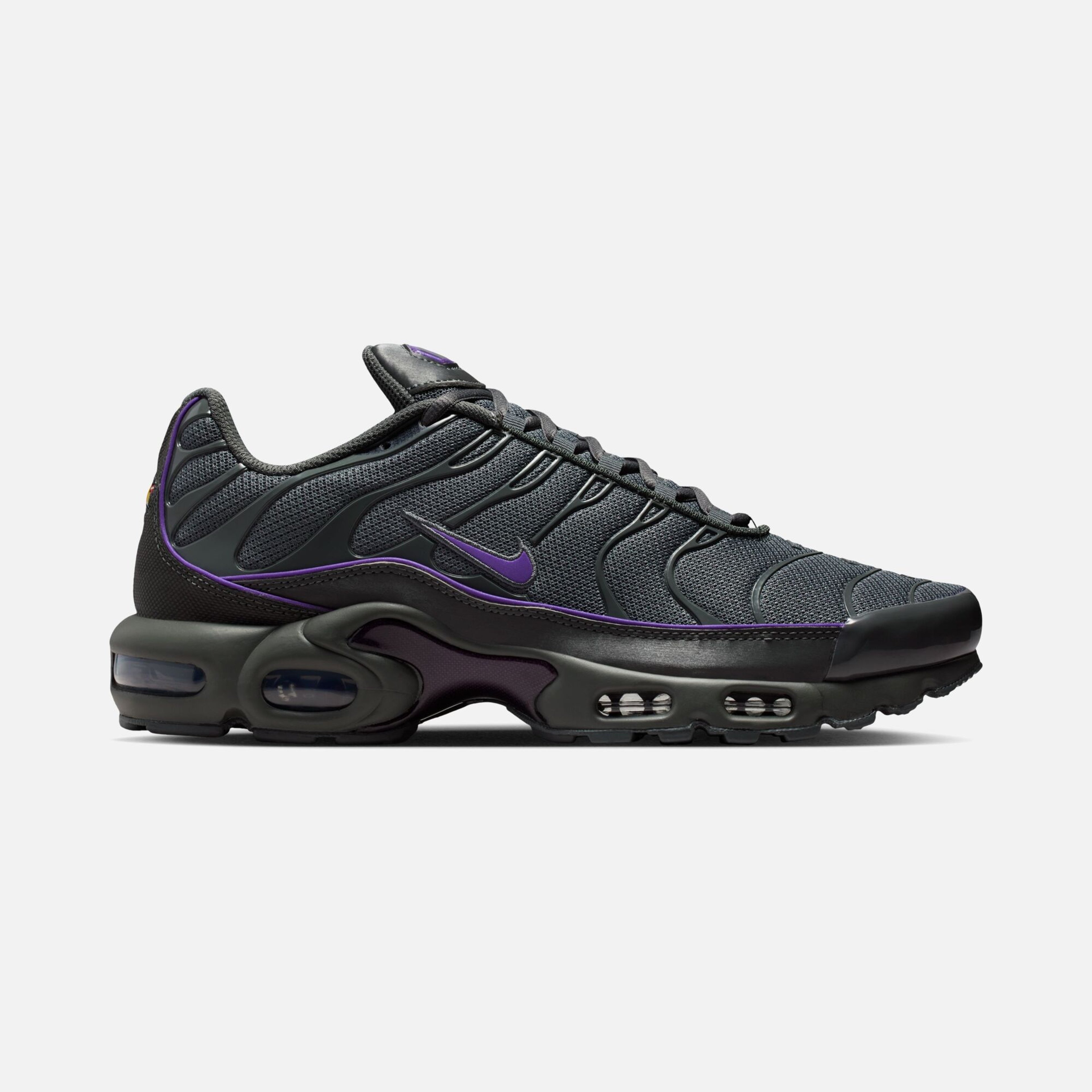 Nike Air Max Plus Og Erkek Spor Ayakkabısı