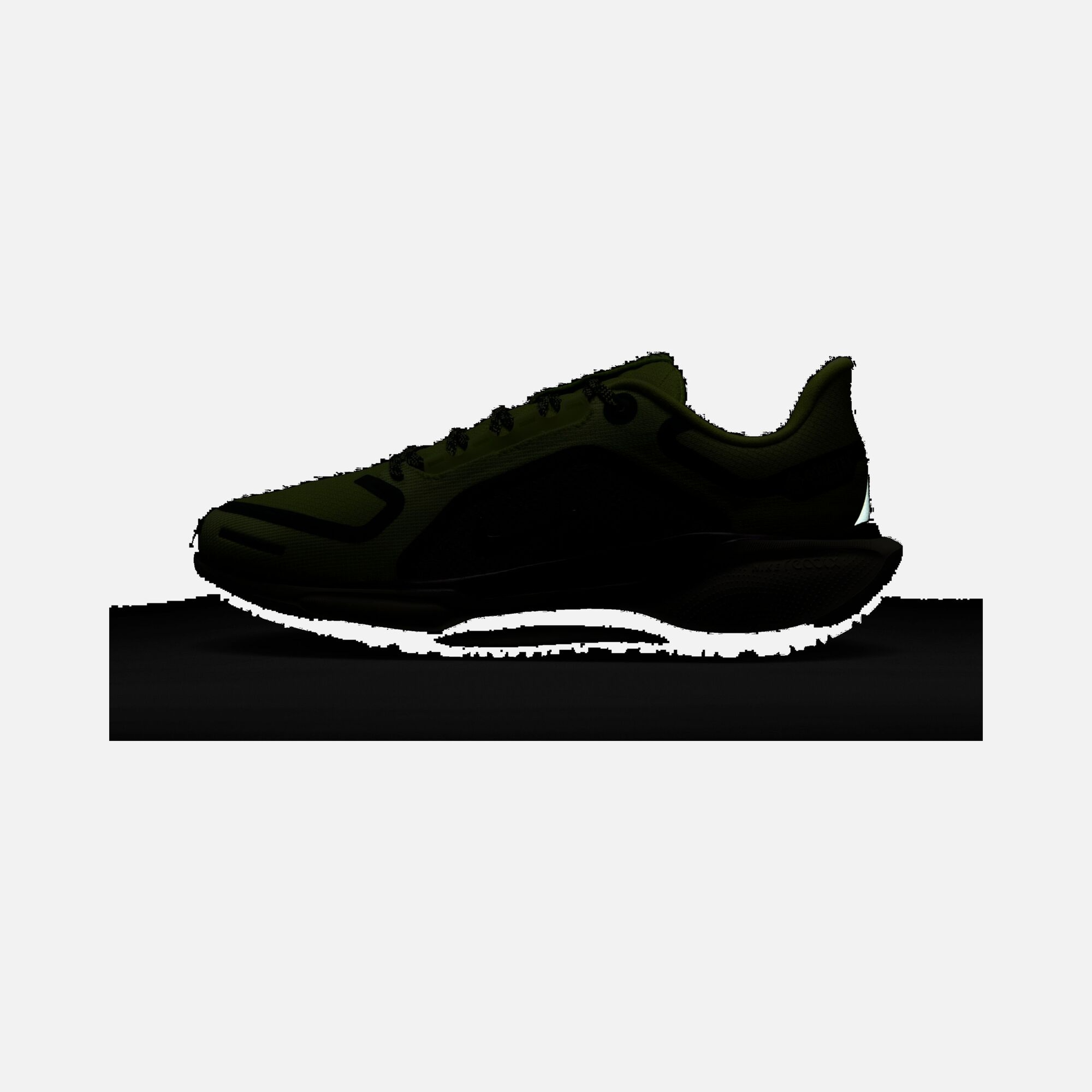 Nike Air Zoom Pegasus 41 Gore-Tex Waterproof Road Running Kadın Spor Ayakkabı