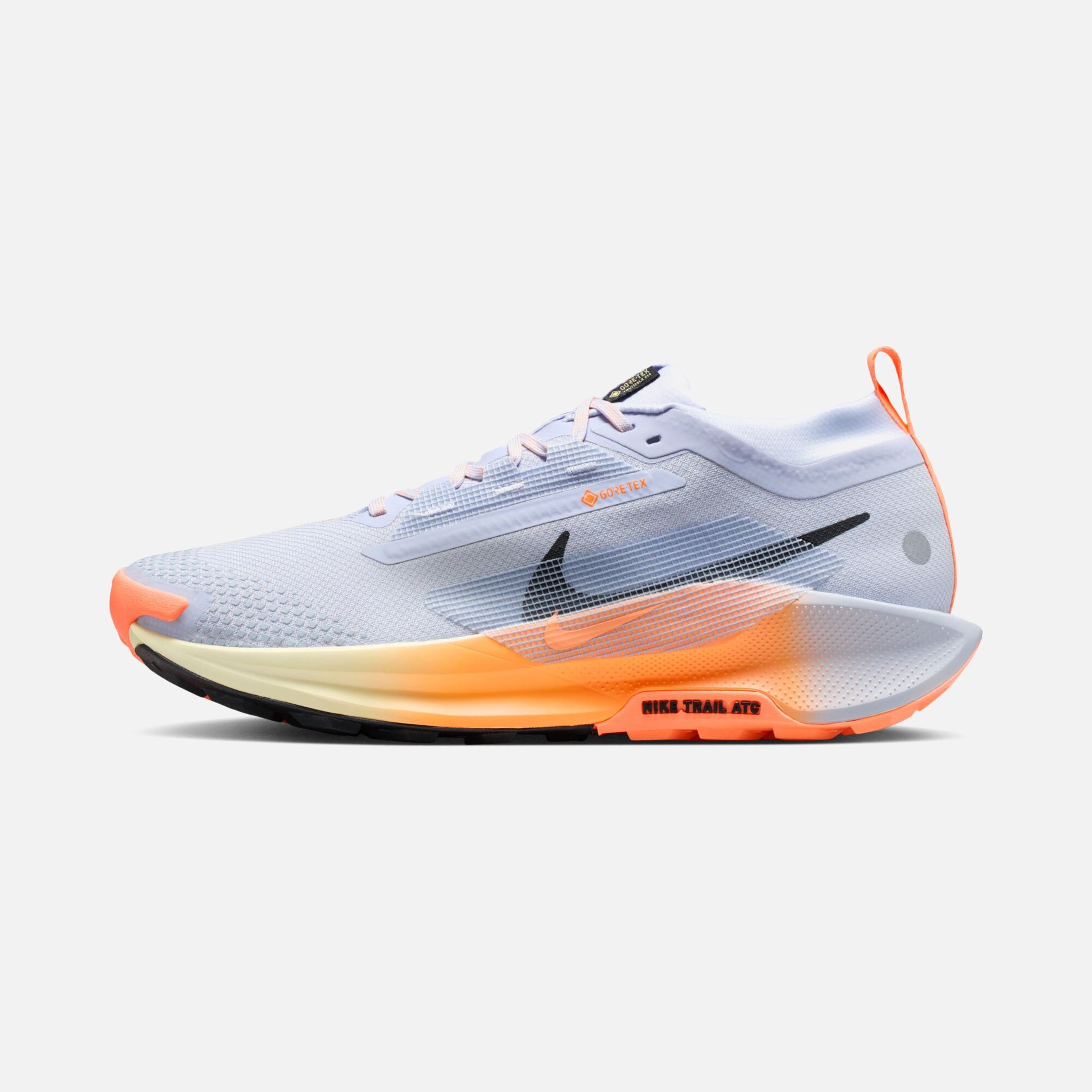 Nike Pegasus Trail 5 Gore-Tex Running Erkek Spor Ayakkabı